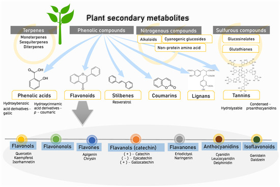 Nutrients | Free Full-Text | Modulating Effects of Zingiberaceae ...