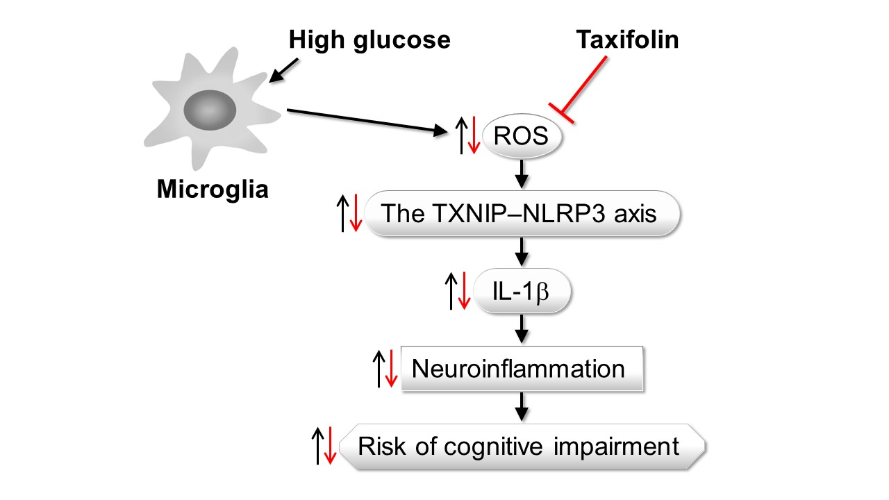Anti-Inflammatory Effects Of DHQ POWDER Anti-Inflammatory Effects Of DHQ POWDER
