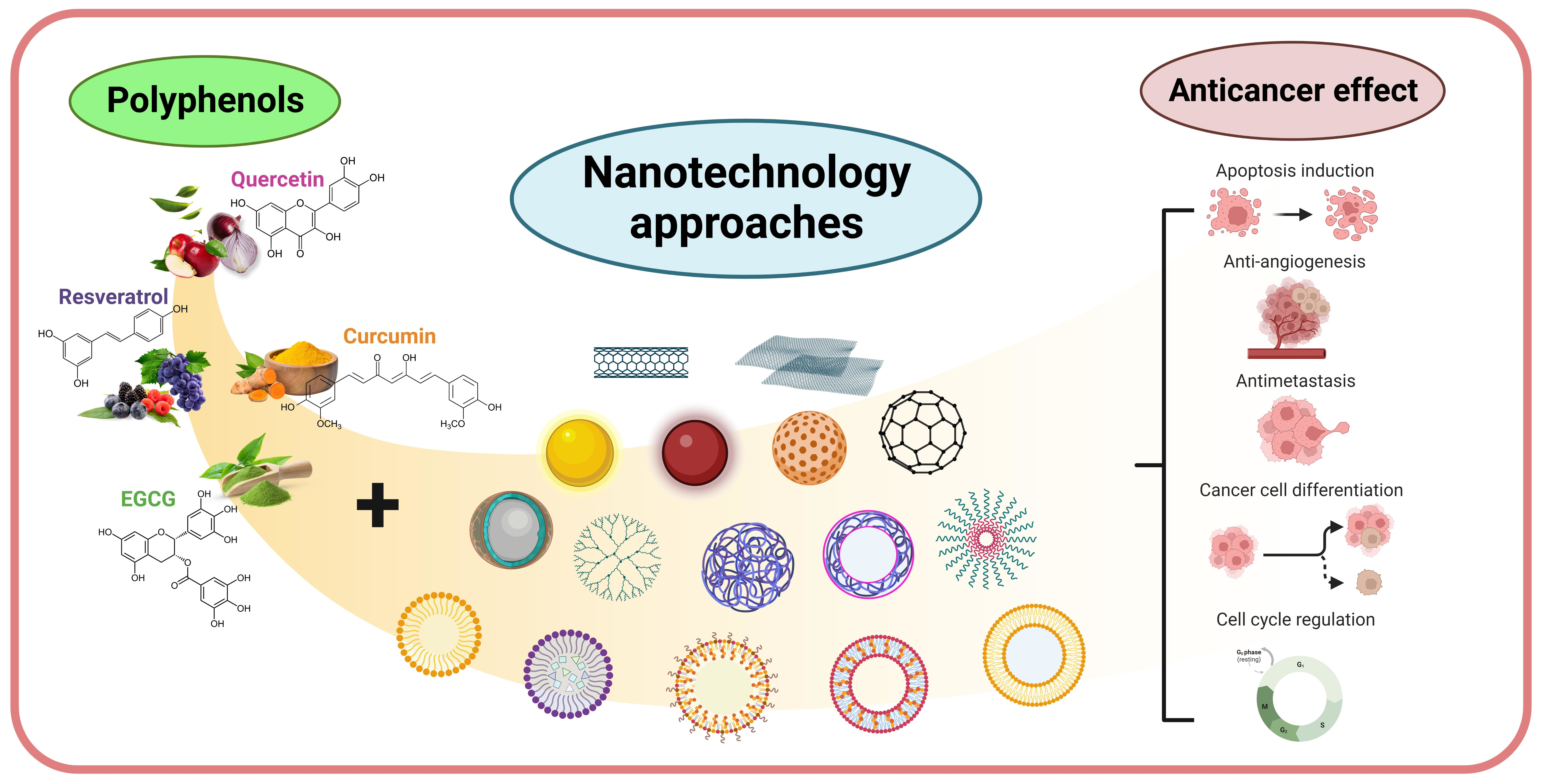 Nutrients | Free Full-Text | Recent Progress in Nanotechnology 