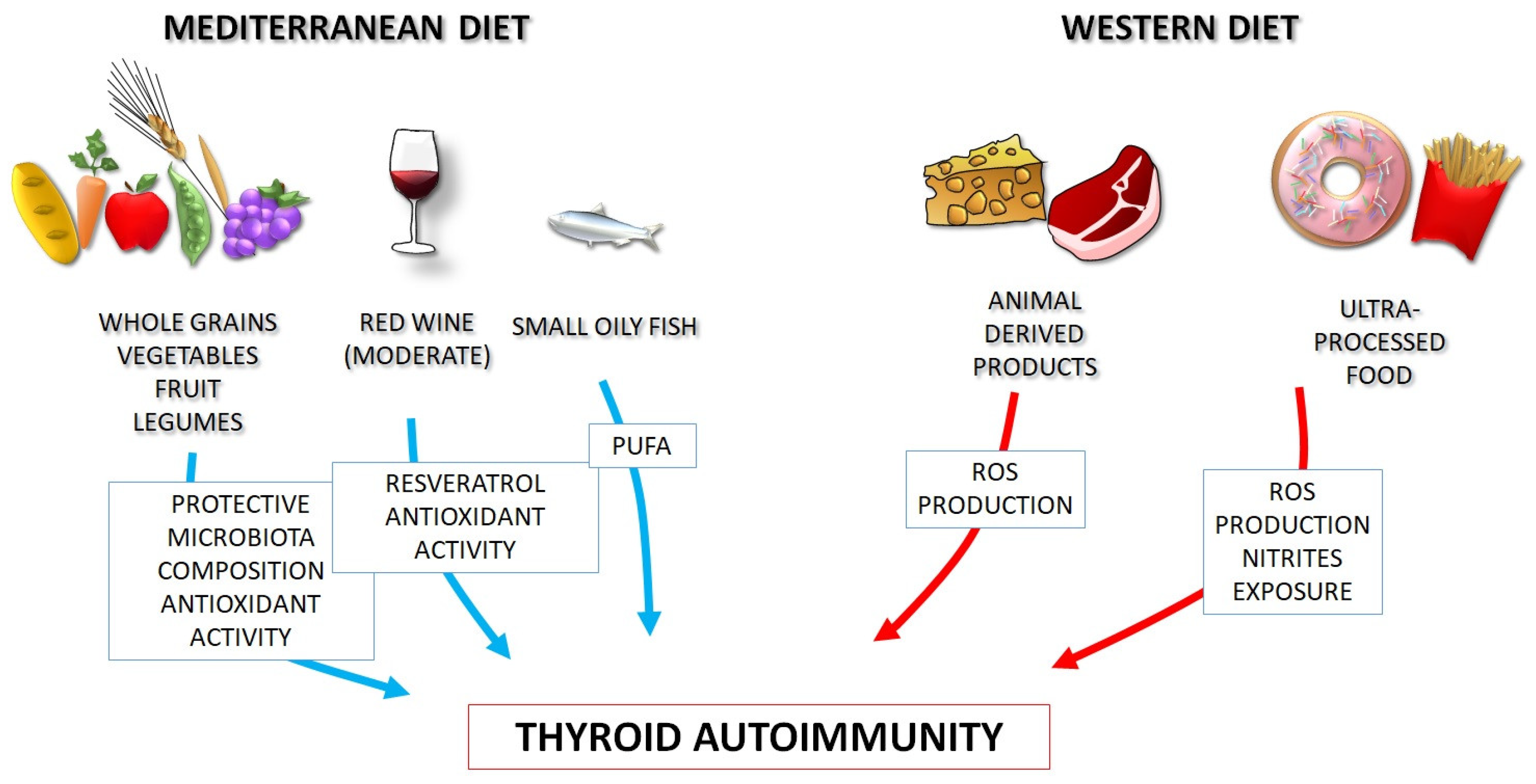 Mediterranean diet and autoimmune diseases