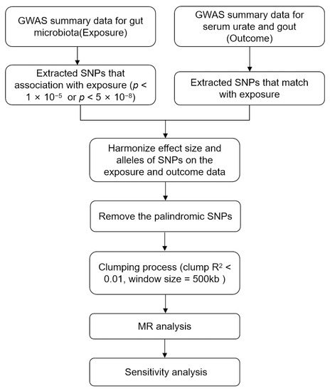 Nutrients | Free Full-Text | Causal Relationship between Gut Microbiota ...