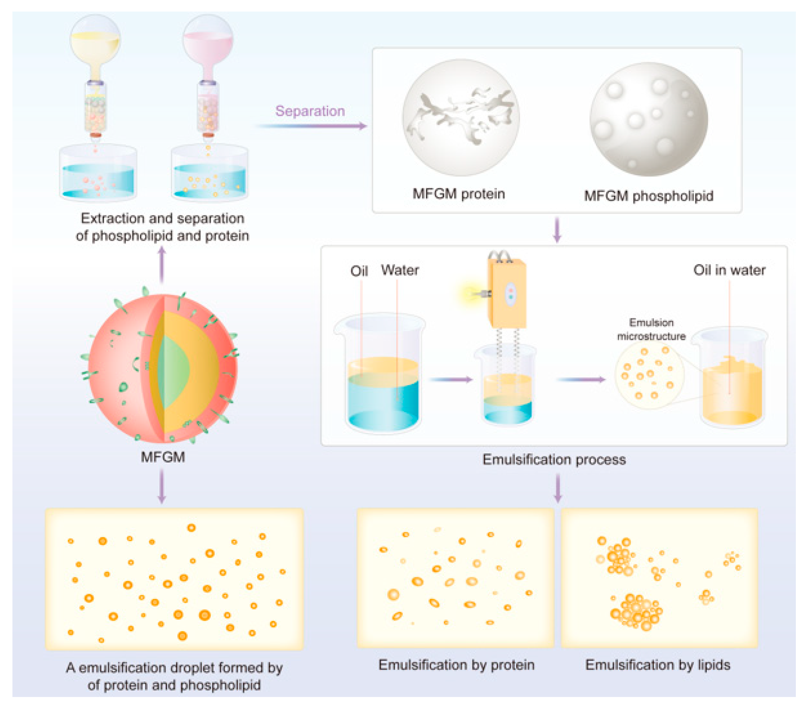 Structure Biological Functions Separation Properties And Potential Structure Biological Functions Separation Properties And Potential