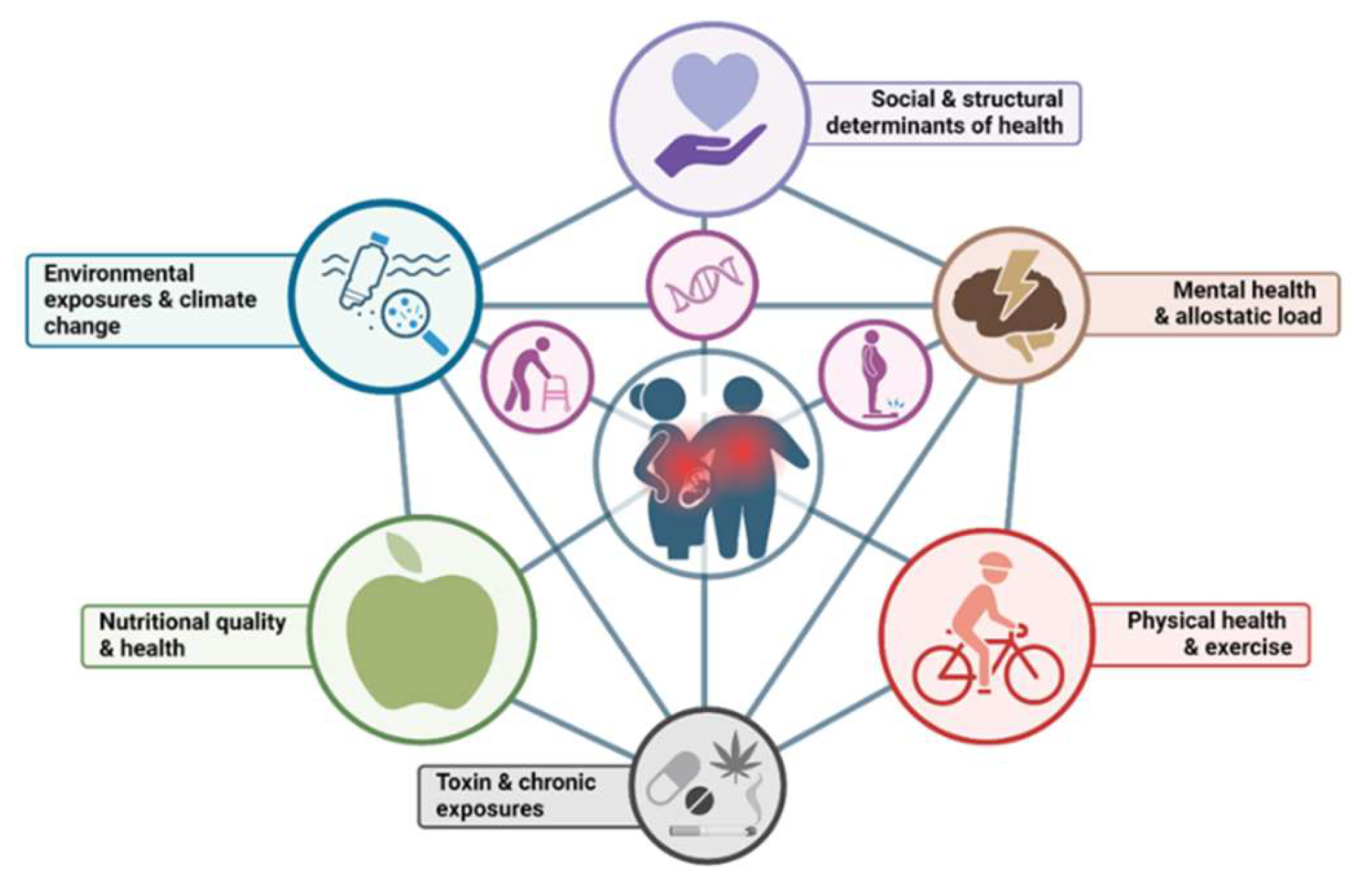 Nutrients | Free Full-Text | Maternal Malnutrition and Elevated Disease ...