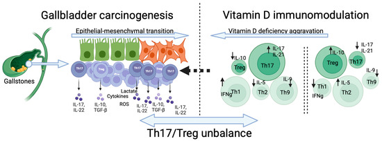 The Immunomodulatory Role of Vitamin D in Regulating the Th17/Treg ...