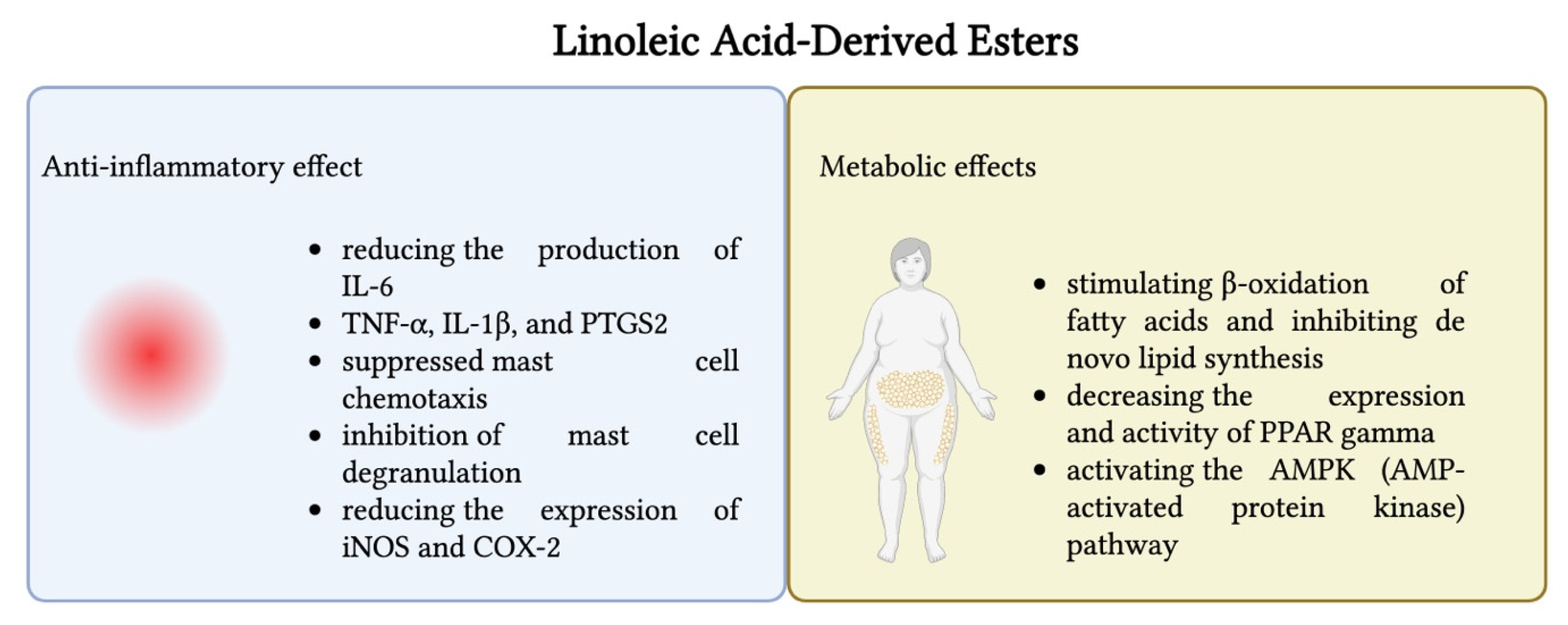 GENE サイン入りパネル Obtaining and Characterization of Nutraceuticals Based on
