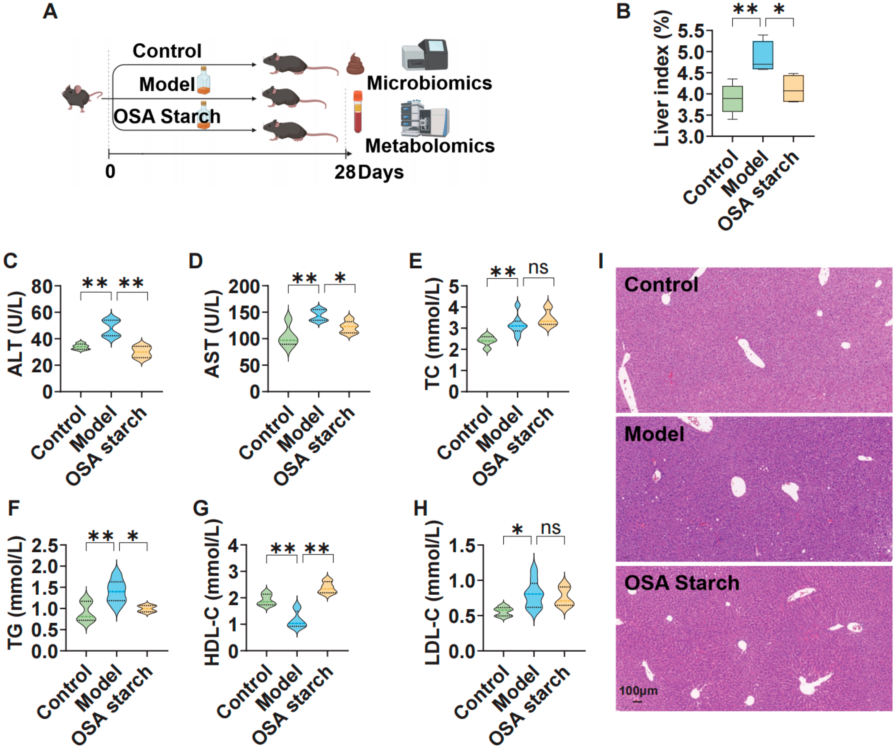 シュウ Octenyl Succinic Anhydride Starch Alleviates Alcoholic Liver