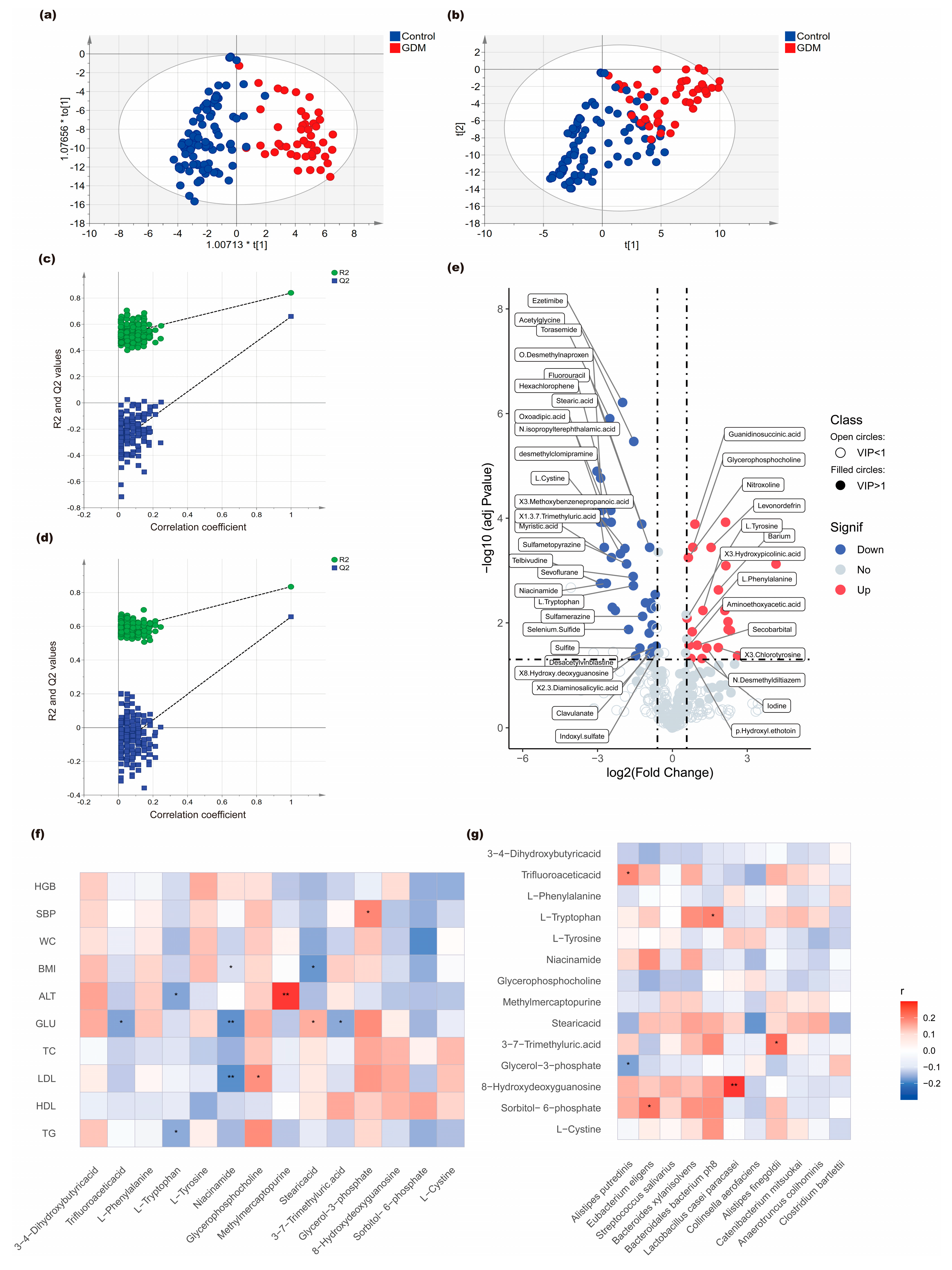 Study on Association Between Gut Microbiota, Serum Metabolism and ...