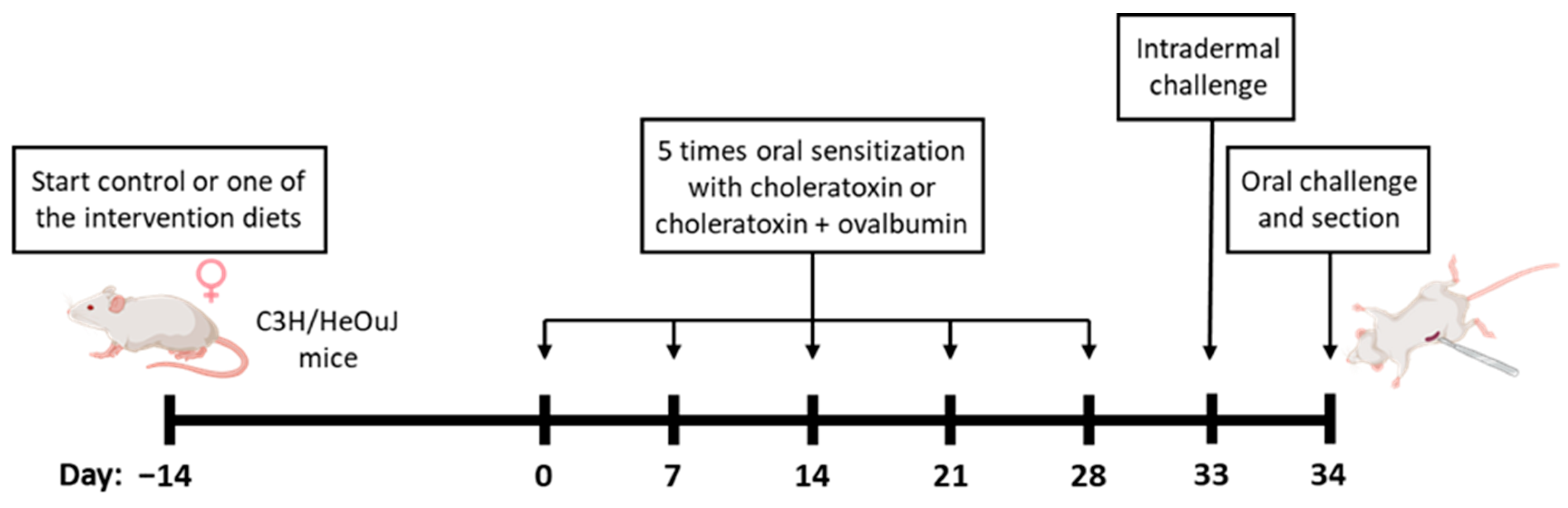 Exploring the Immunomodulatory Effects of Agaricus bisporus Strains ...
