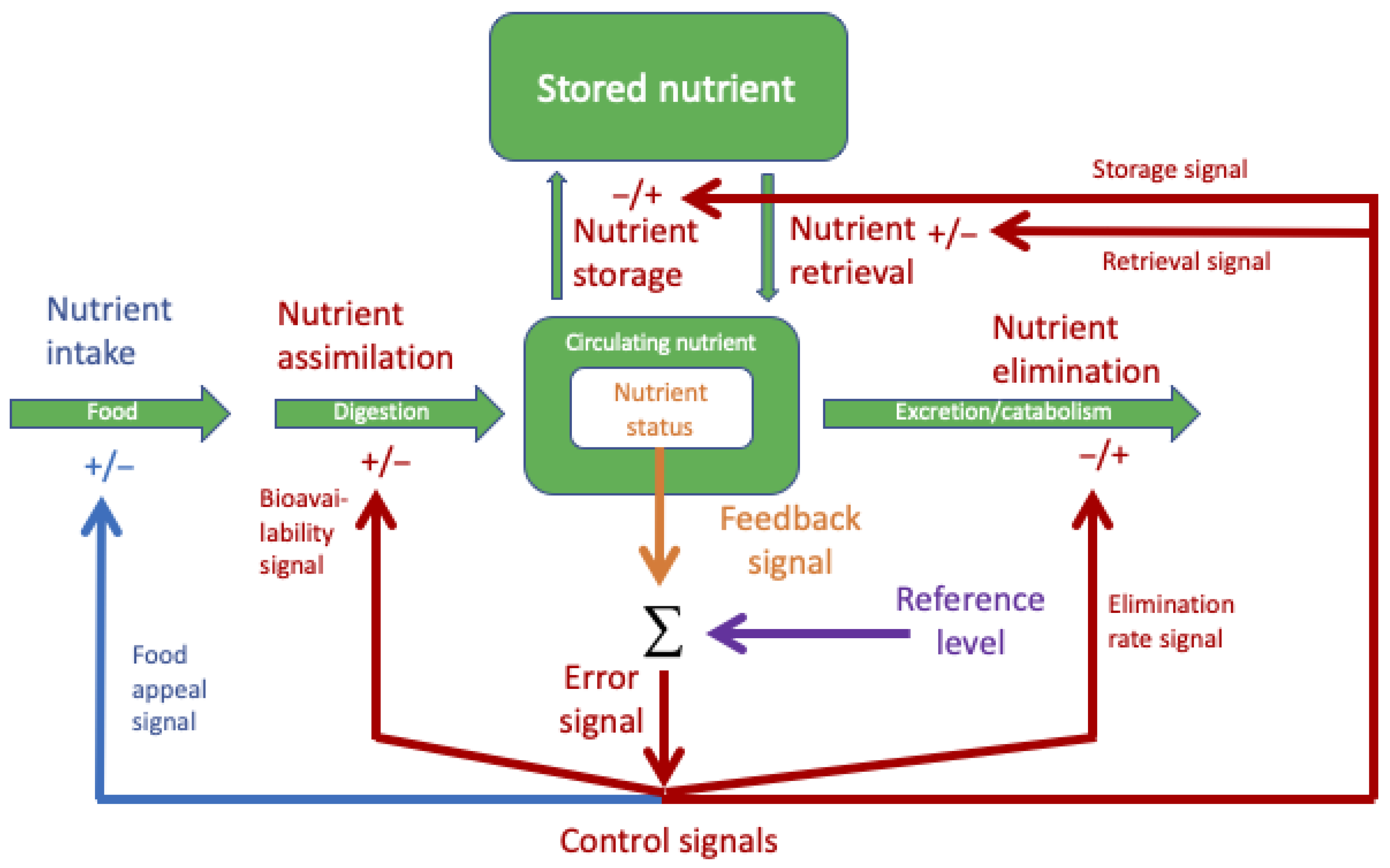 Nutrients Status How Micronutrient Status May Affect Eating Behavior—Hypothesis and ...