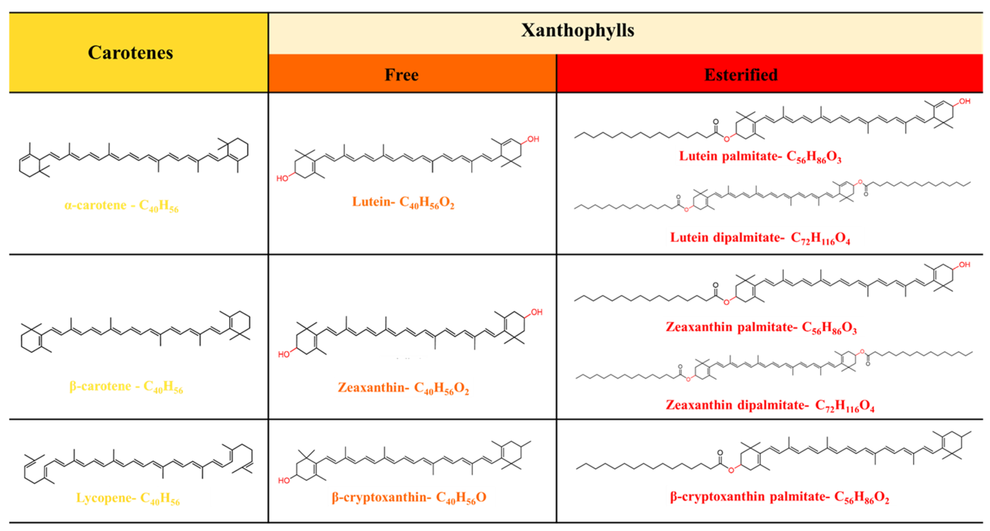Xanthophyll Example Mechanisms of Cell Uptake and Transport of Xanthophylls in the Caco-2 ...