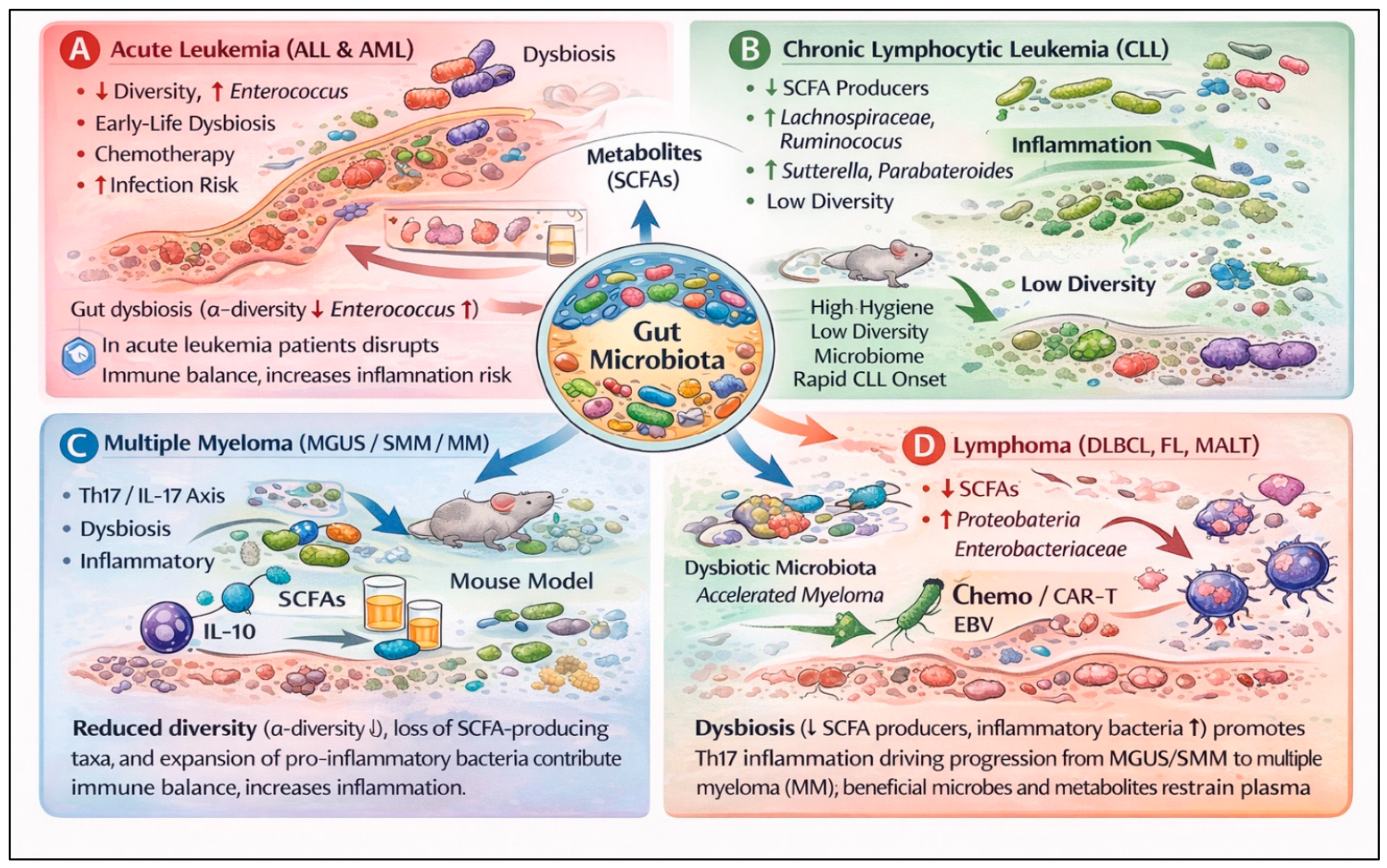 The Gut Microbiota in Hematologic Malignancies: Mechanisms, Clinical ...