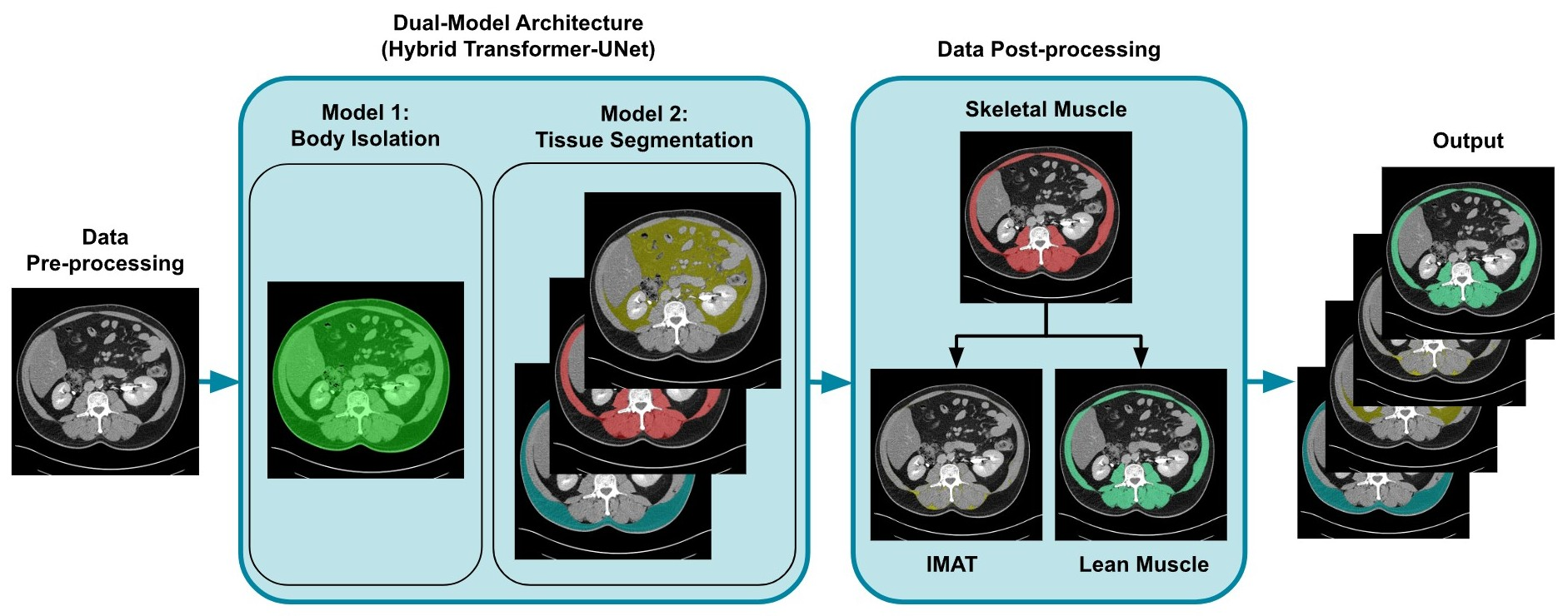 FocusedON-BC: A Robust Deep Learning Framework for Automated Body ...