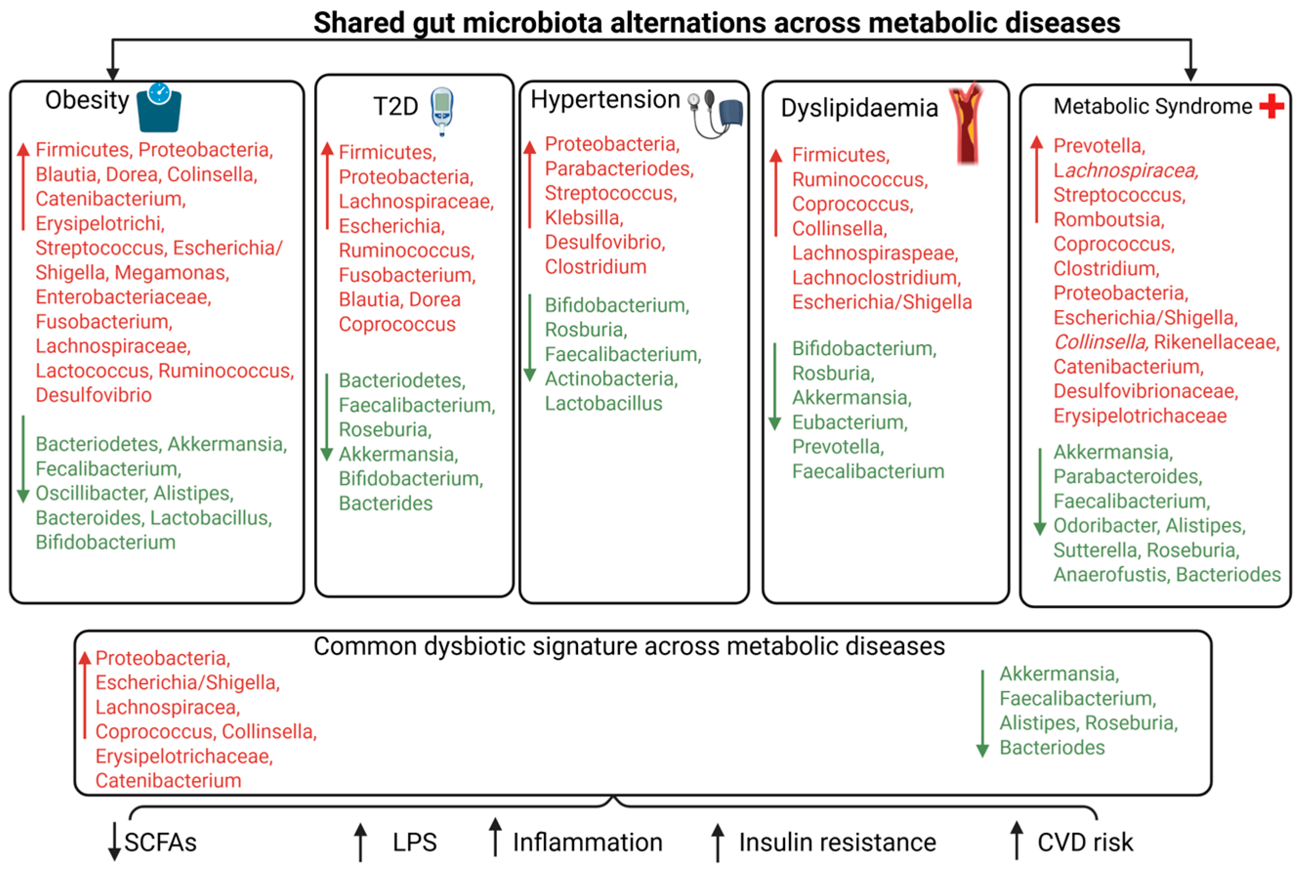 Gut Microbiome Dysbiosis in Metabolic Syndrome: Current Evidence and ...
