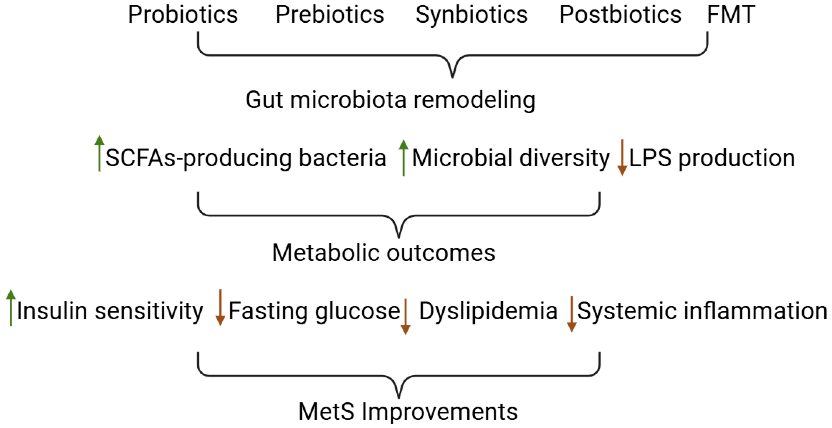 Gut Microbiome Dysbiosis in Metabolic Syndrome: Current Evidence and ...