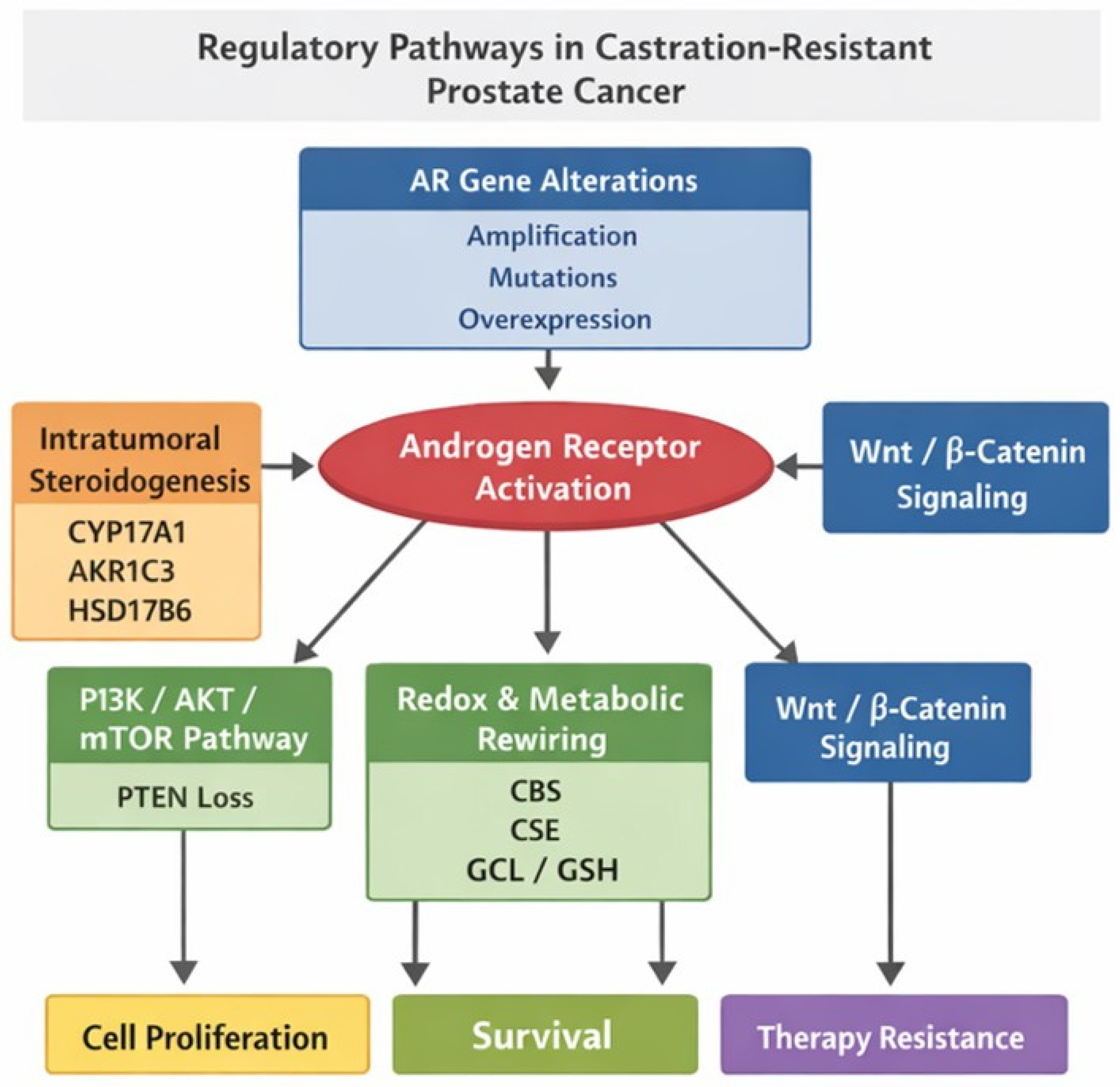 Emerging Therapeutic Targets in Castration-Resistant Prostate Cancer