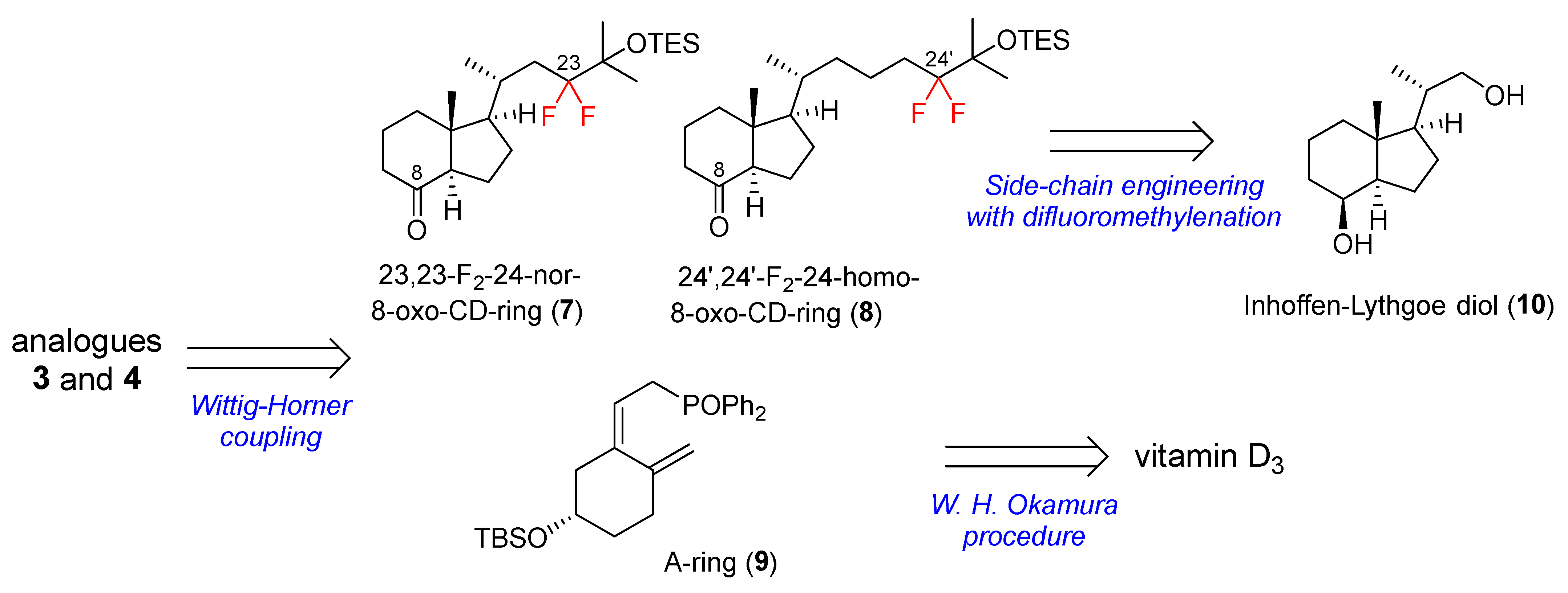 Synthesis of 23,23-Difluoro-24-nor- and 24′,24′-Difluoro-24-Homovitamin ...