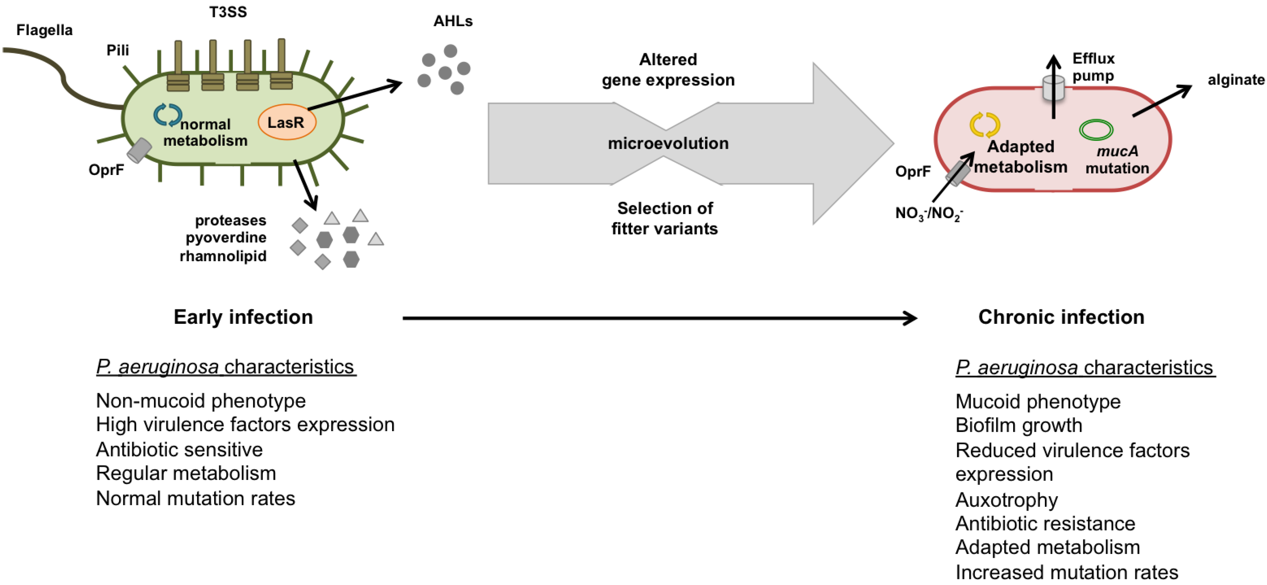 Pathogens, Free Full-Text