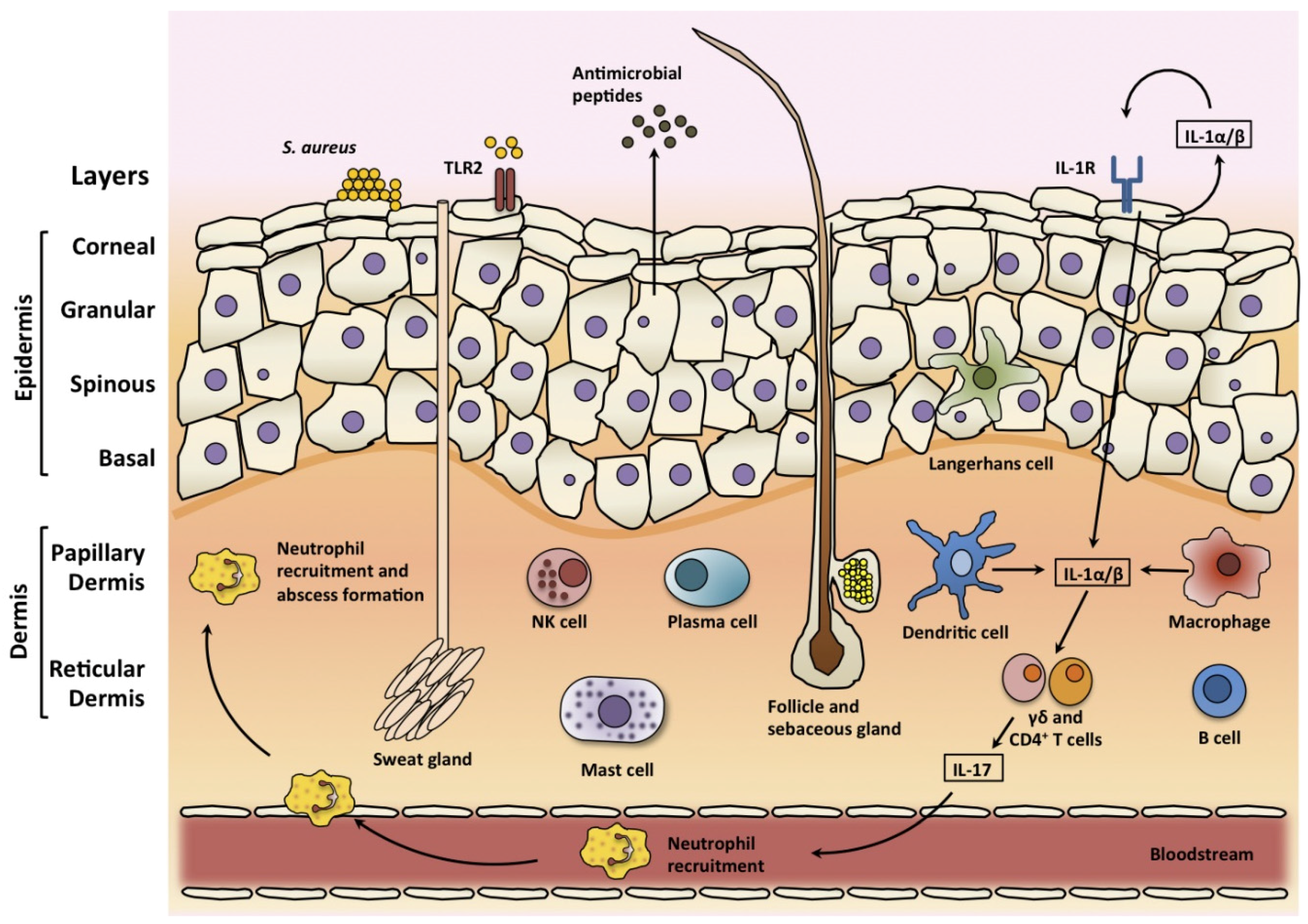 Pathogens, Free Full-Text