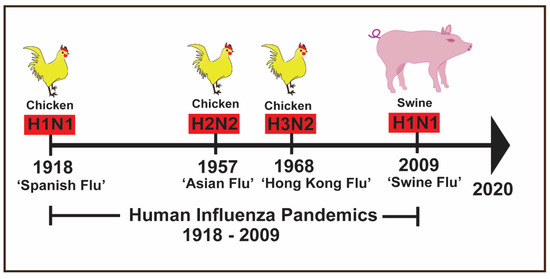 Pathogens | Free Full-Text | A Systematic Review Analyzing the Prevalence and Circulation of Influenza Viruses in Swine Population Worldwide
