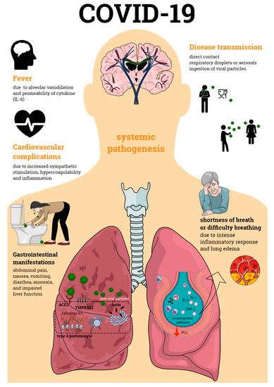 Pathogens | Free Full-Text | Tissue Proteases and Immune Responses ...