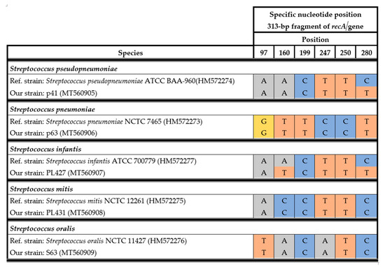 Identification of Clinically Relevant Streptococcus and Enterococcus ...