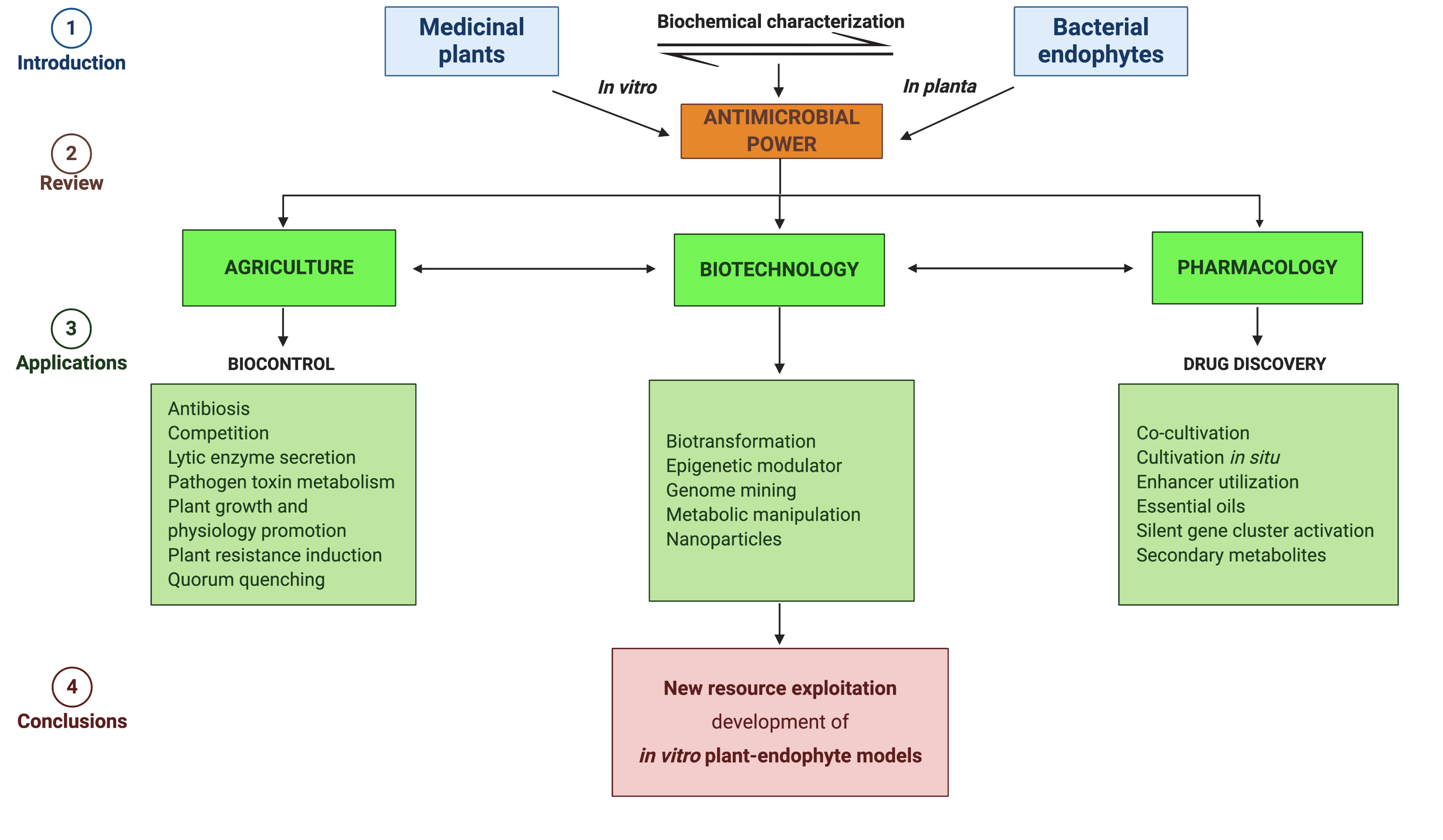 Pathogens | Free Full-Text | Medicinal Plants and Their Bacterial Microbiota: Review on Antimicrobial Compounds Production for and Human Health