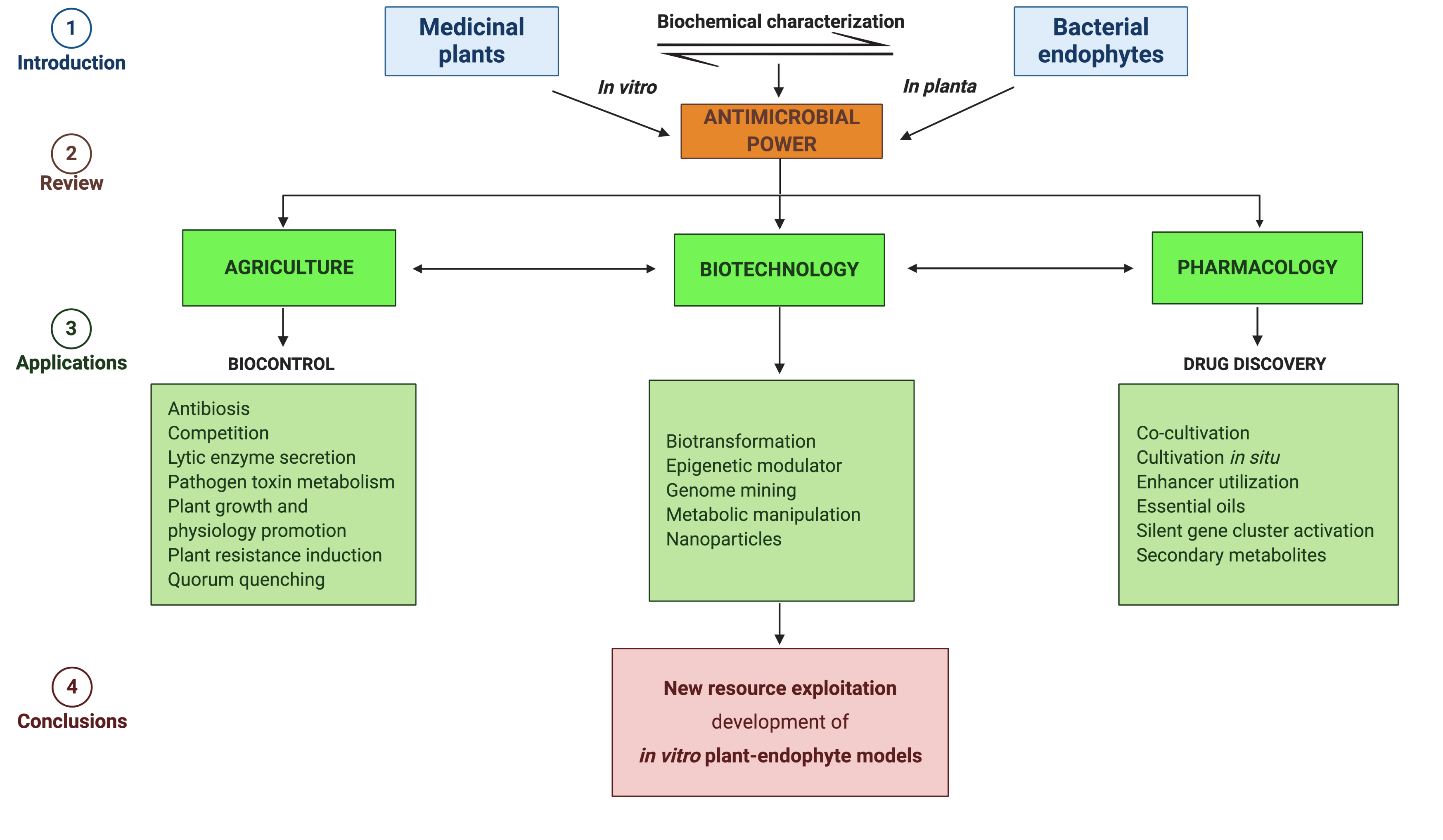 Pathogens Free Full Text Medicinal Plants And Their Bacterial 