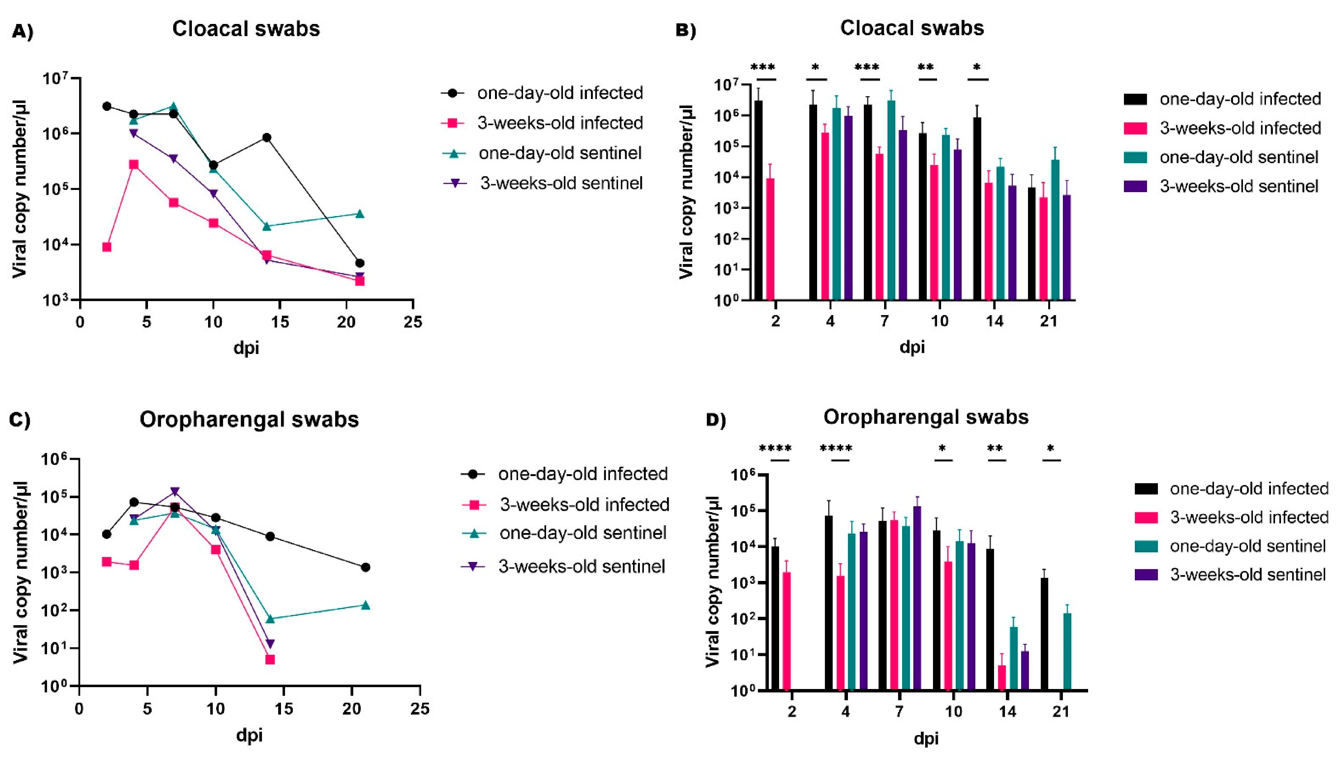 Virulence Properties Of GI 23 Infectious Bronchitis Virus Isolated In   Pathogens 10 00522 G005 