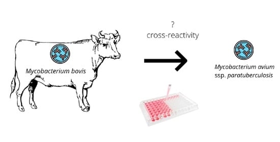 Pathogens | Free Full-Text | The Risk of False-Positive Serological Results  for Paratuberculosis in Mycobacterium bovis-Infected Cattle