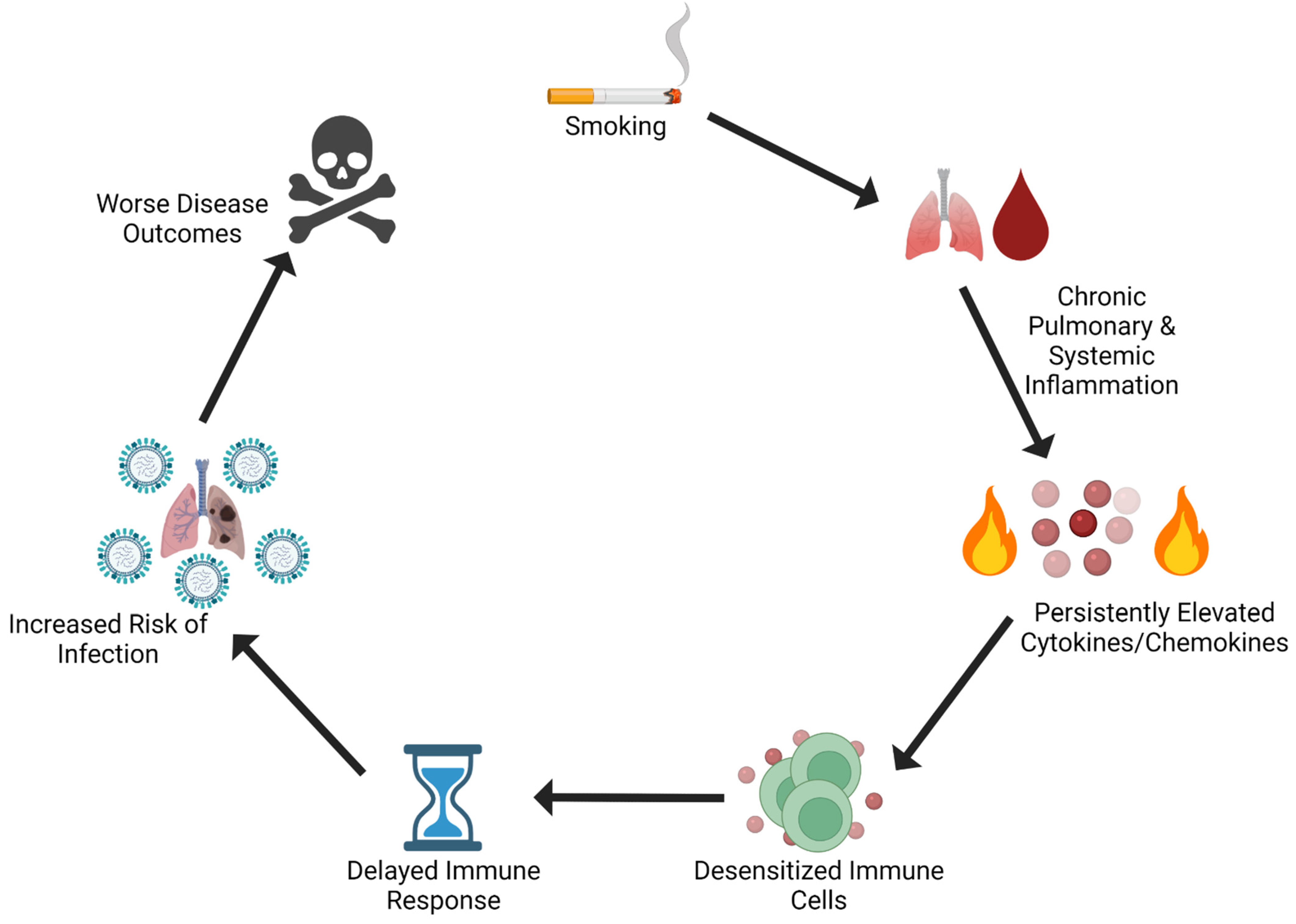 Pathogens | Free Full-Text | Effects of Cigarette Smoking on Influenza ...