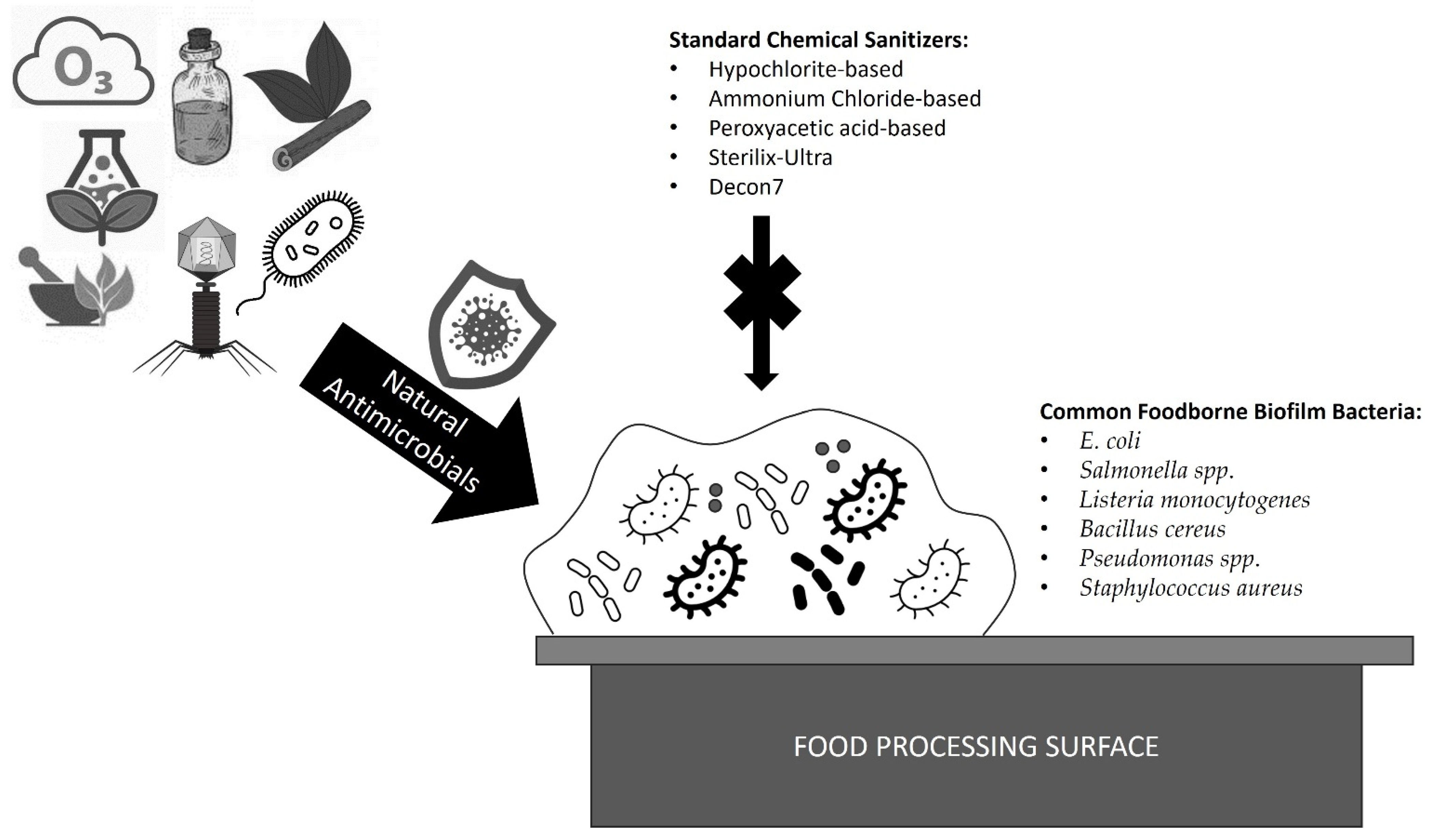 A novel strategy to enhance photocatalytic killing of foodborne