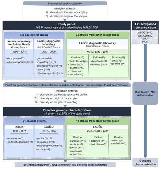 Pathogens | Free Full-Text | Antimicrobial Resistance and Genetic ...