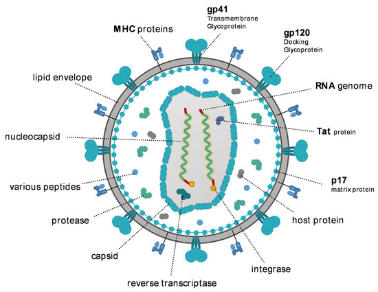 Pathogens | Free Full-Text | Role of TLRs in HIV-1 Infection and ...