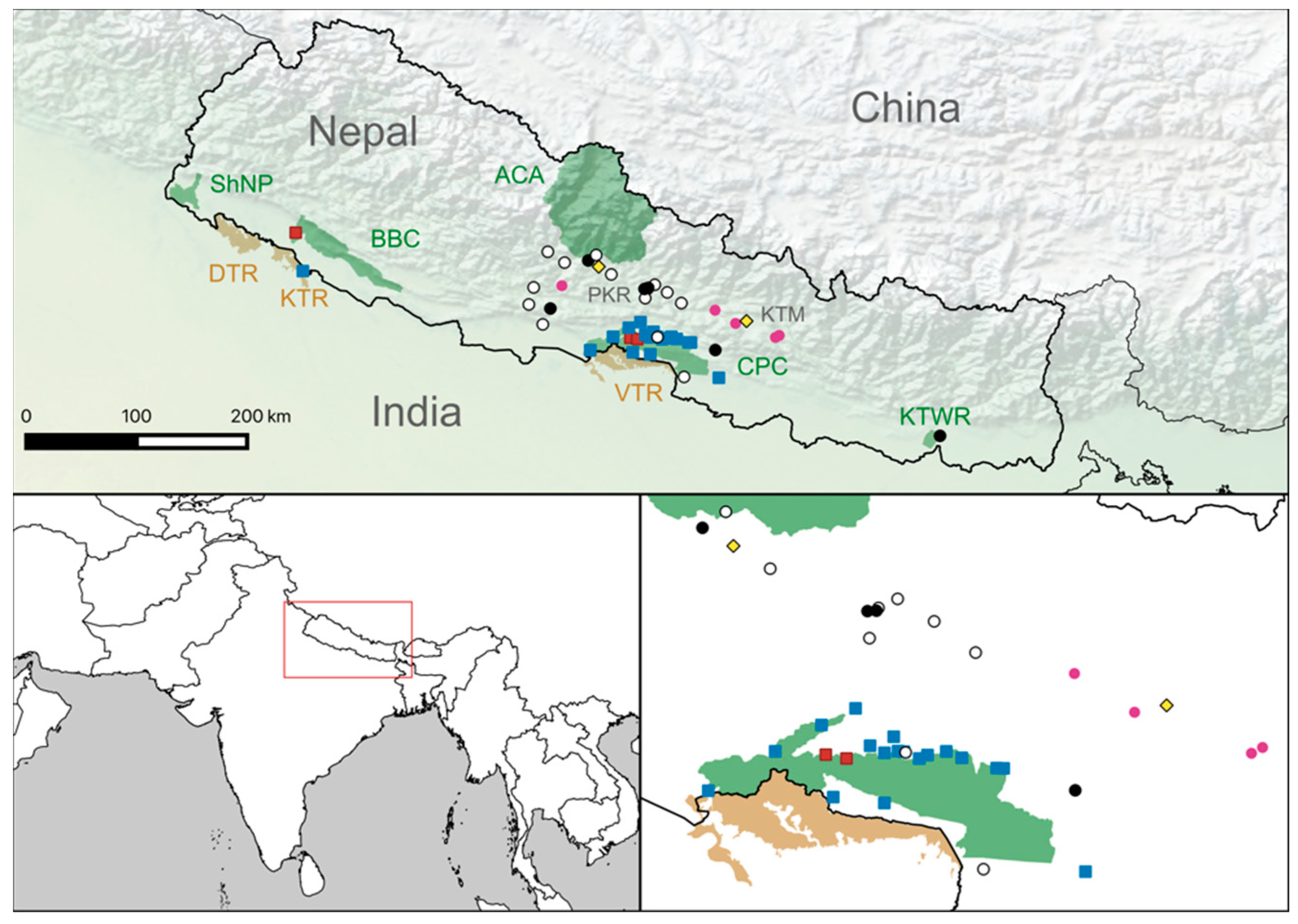 Kiran Yadav Sex Com Hd Free - Pathogens | Free Full-Text | Canine Distemper Virus in Tigers (Panthera  tigris) and Leopards (P. pardus) in Nepal