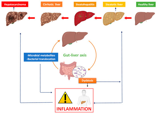 Pathogens | Free Full-Text | From Non-Alcoholic Fatty Liver Disease to ...