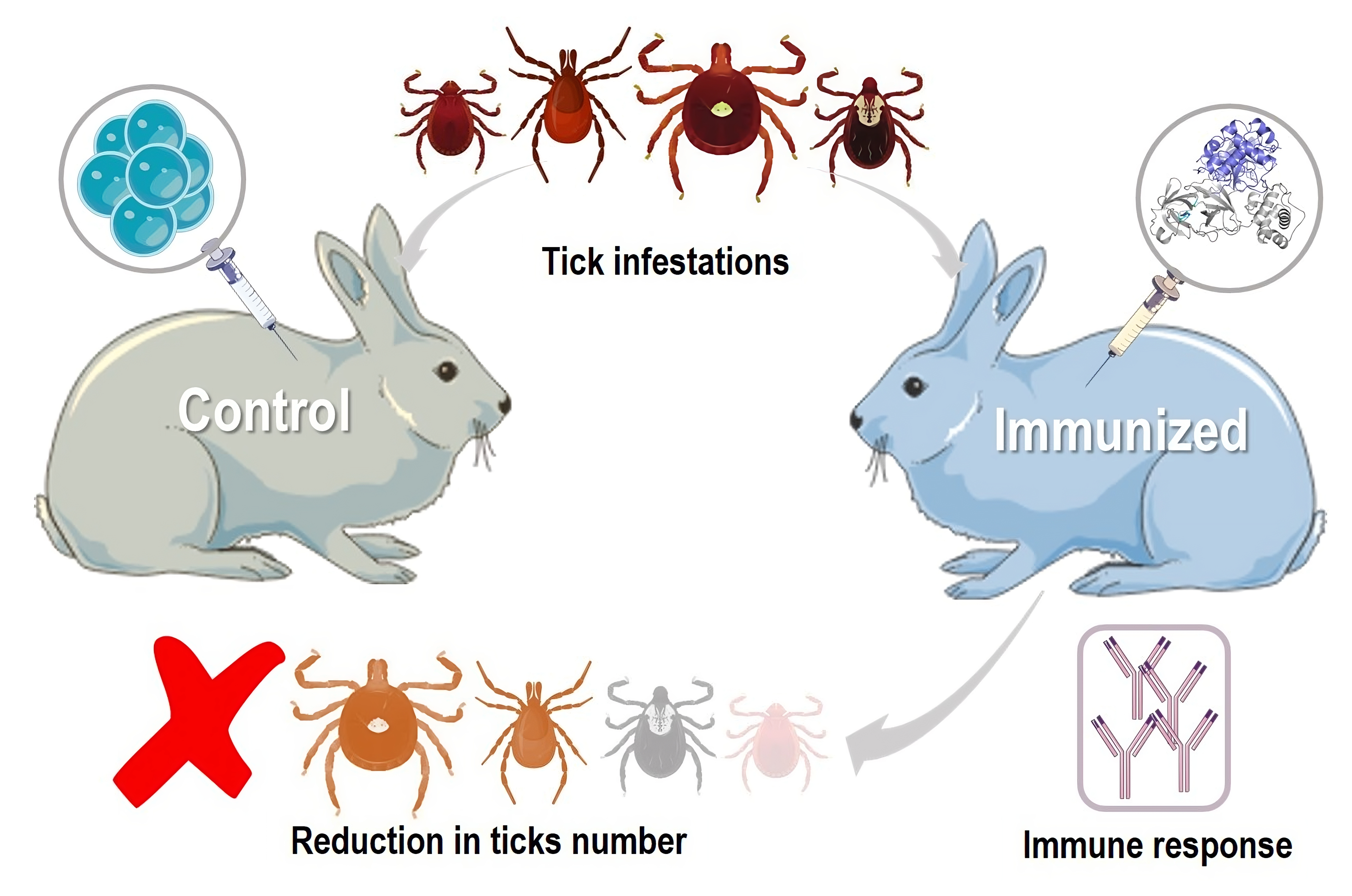 tick infestation before and after