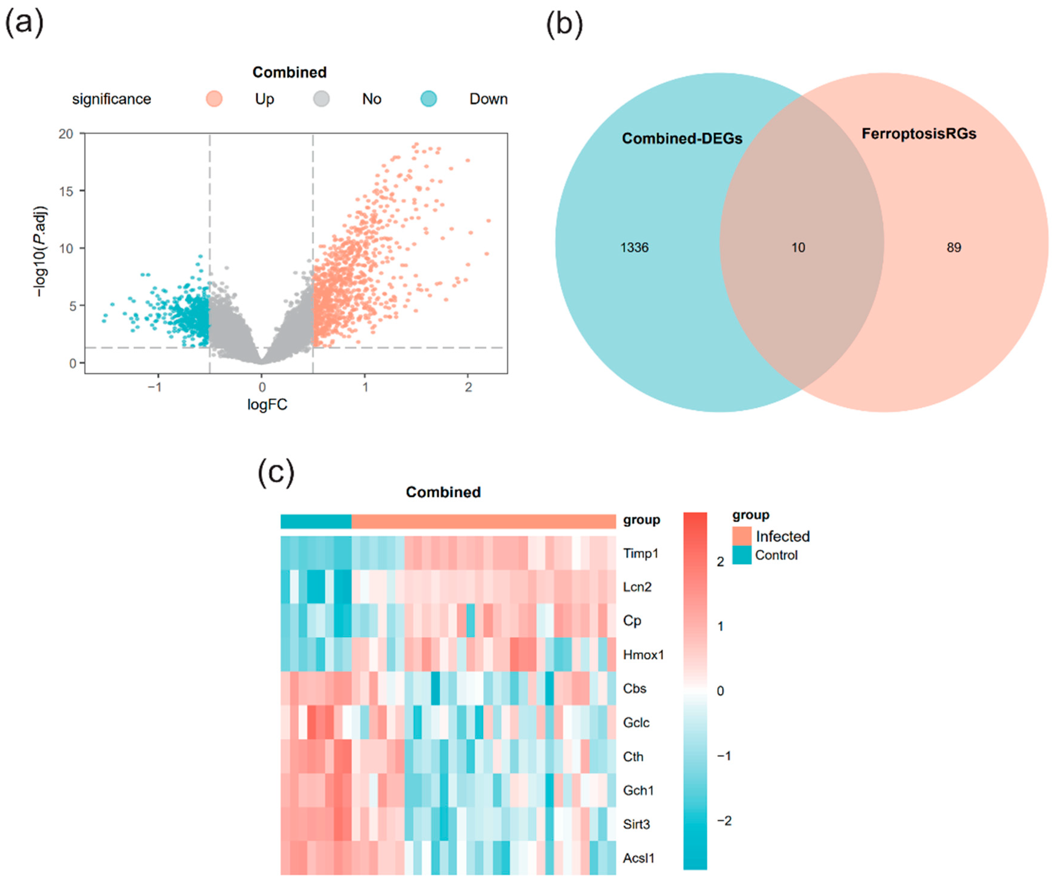 Identification of Ferroptosis-Related Hub Genes Linked to Suppressed ...