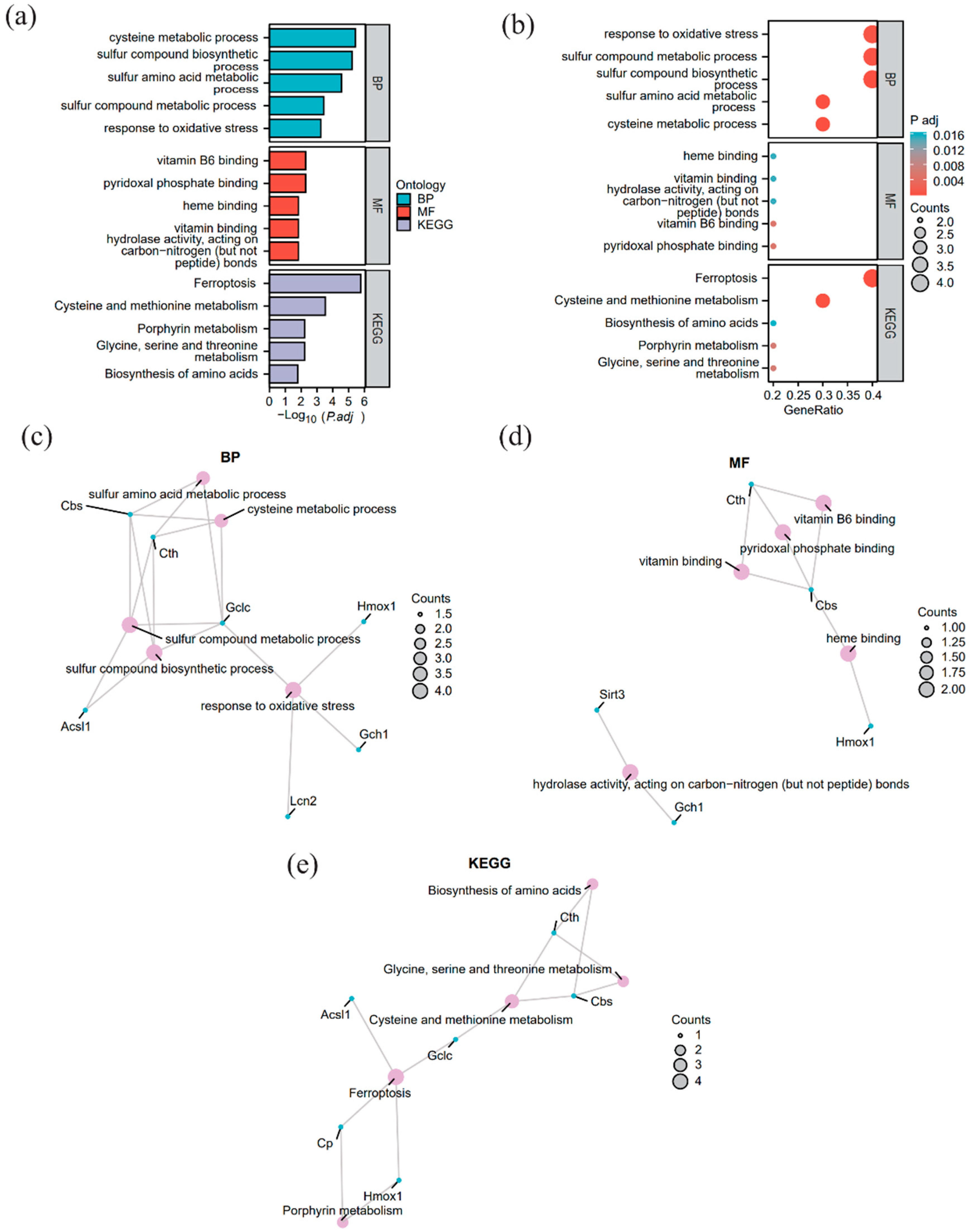 Identification of Ferroptosis-Related Hub Genes Linked to Suppressed ...