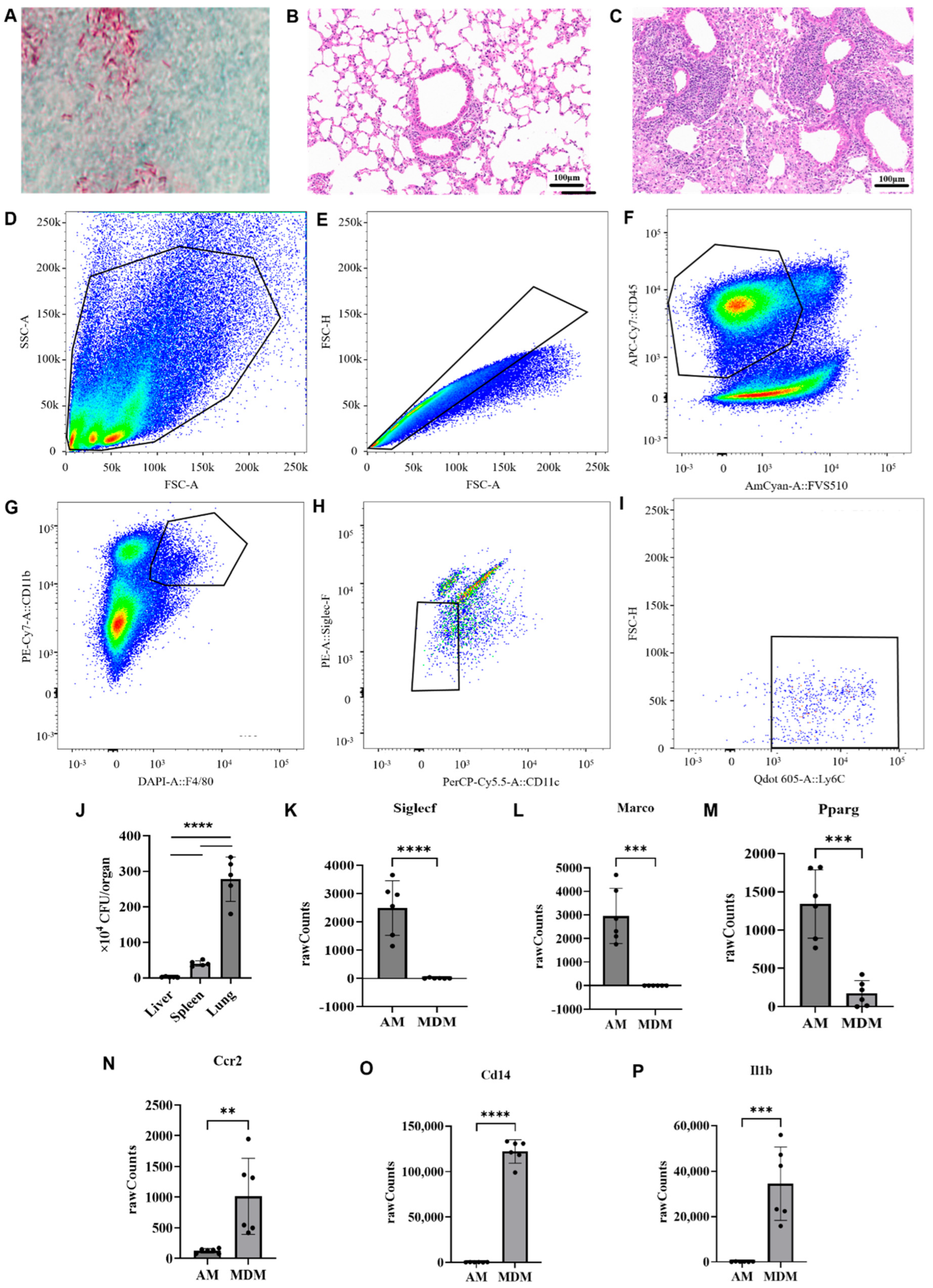 Integrating Untargeted Metabolomics and Transcriptomics in Mice with ...