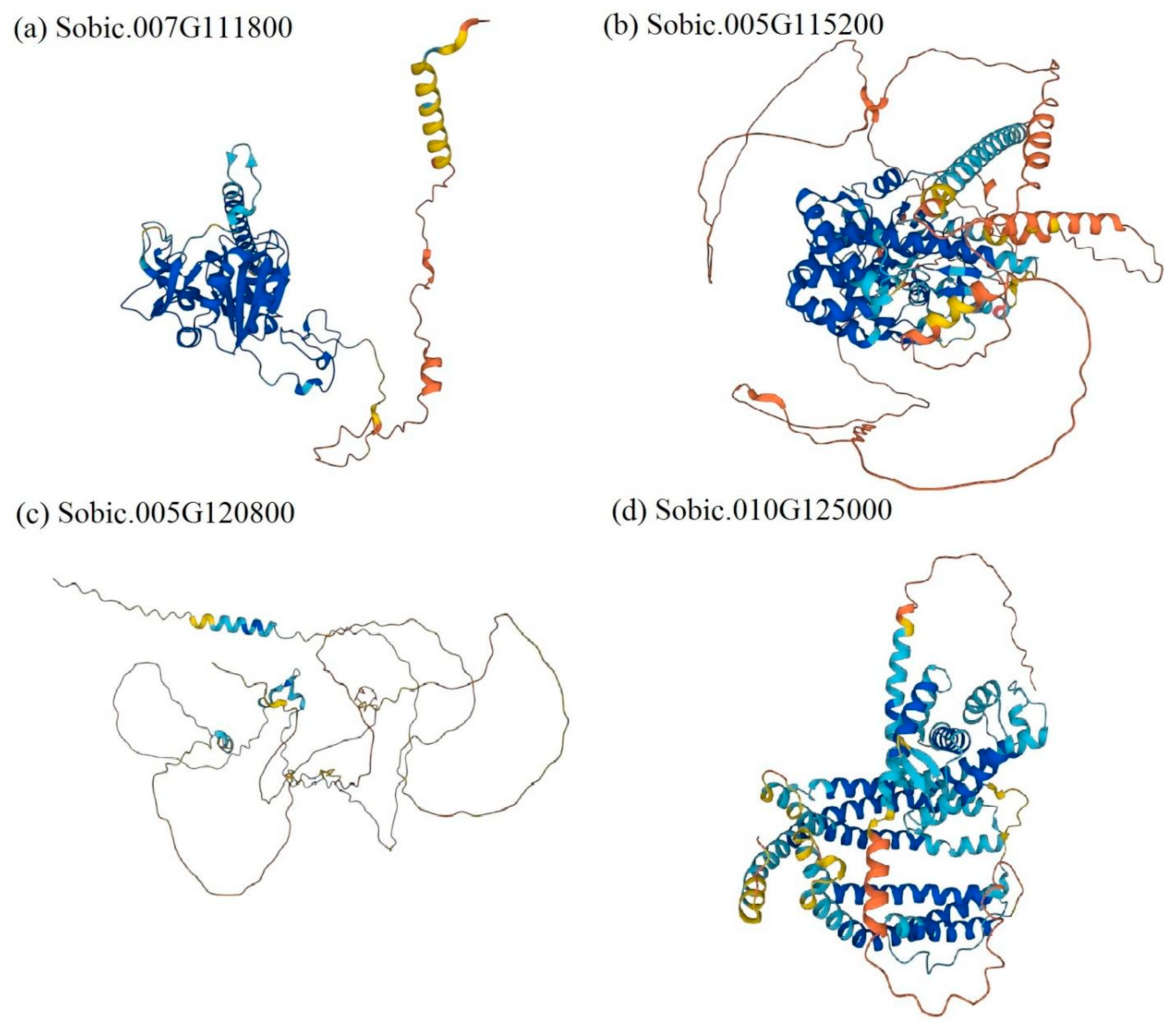 Genomic Analysis of Resistance to Exserohilum turcicum in Nigerien and ...