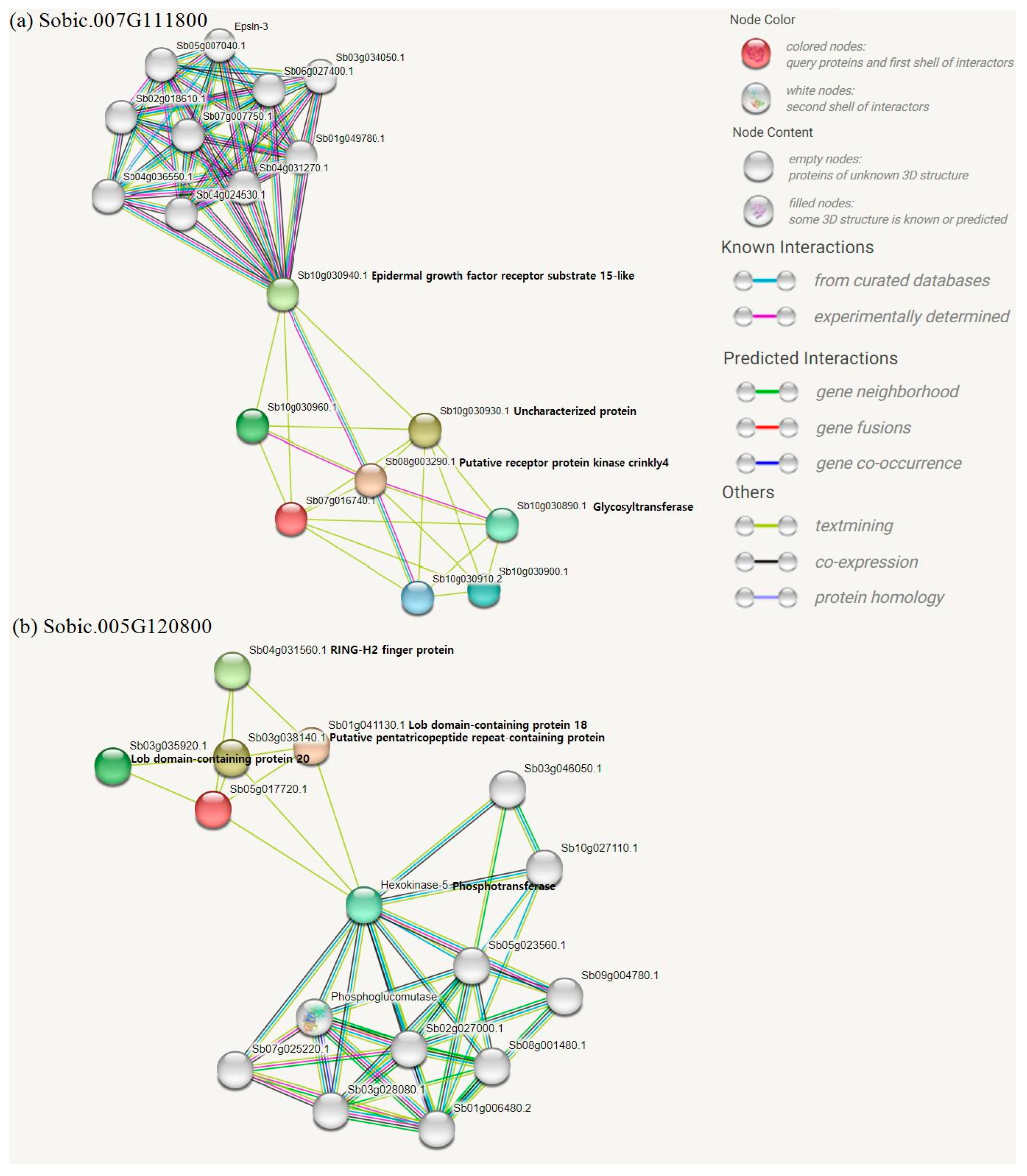 Genomic Analysis of Resistance to Exserohilum turcicum in Nigerien and ...