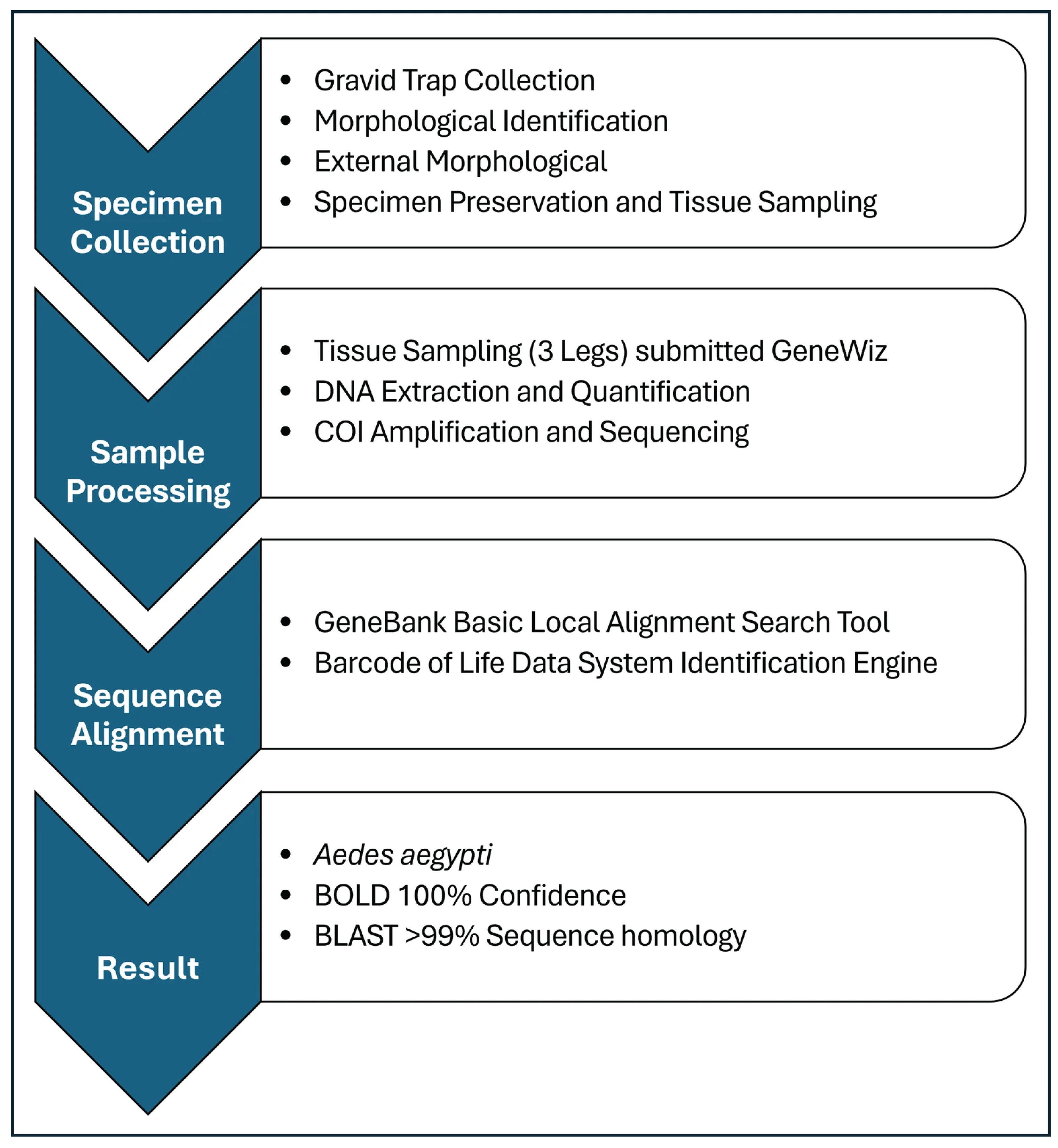 From RAMP to Triplex RT-qPCR: Modernizing Arbovirus Surveillance and ...