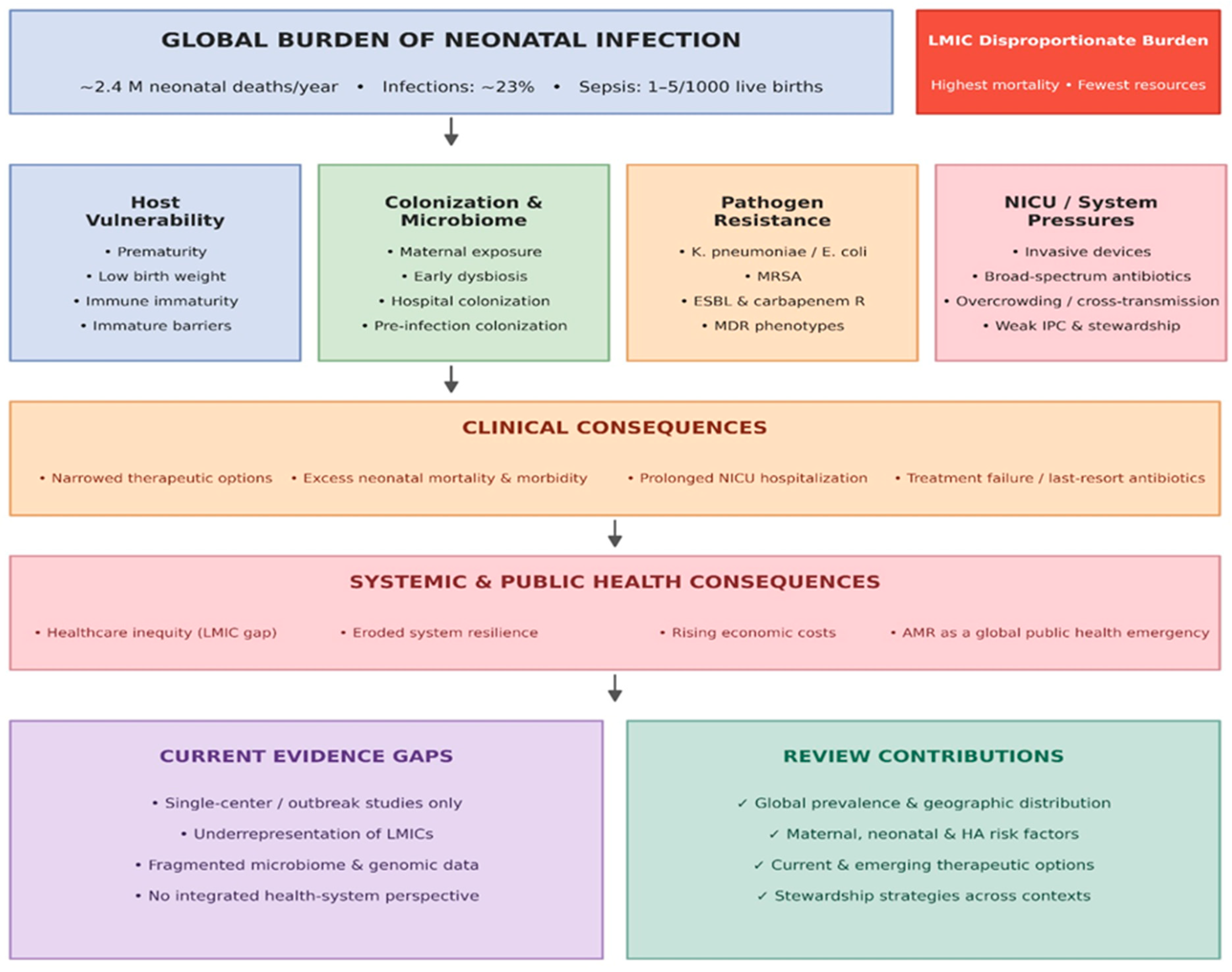 Neonatal Infection Types Neonatal Infections Caused by Multidrug-Resistant Bacteria: An Analysis ...
