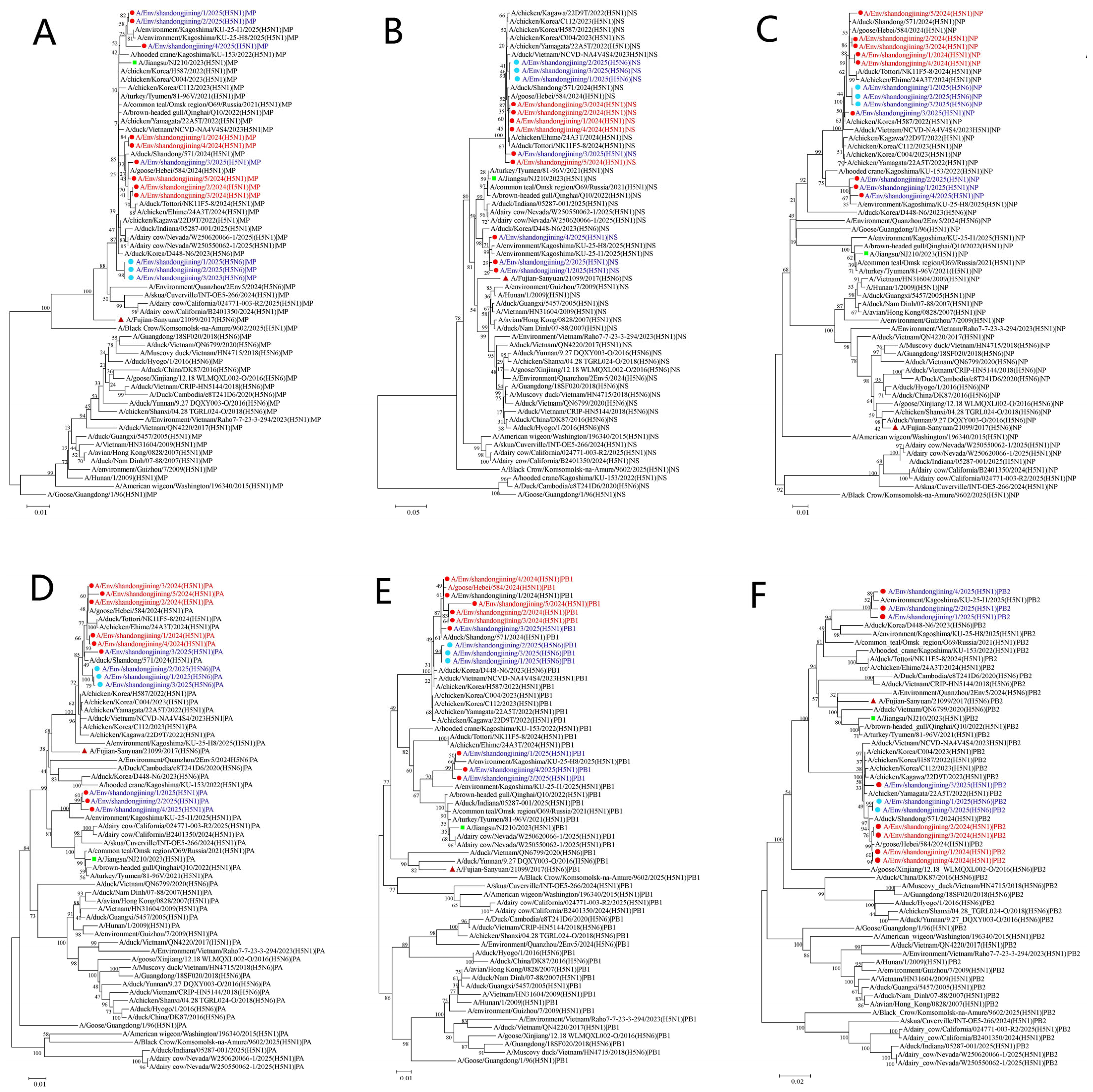 Epidemiological and Genomic Characterization of H5 Subtype Avian ...