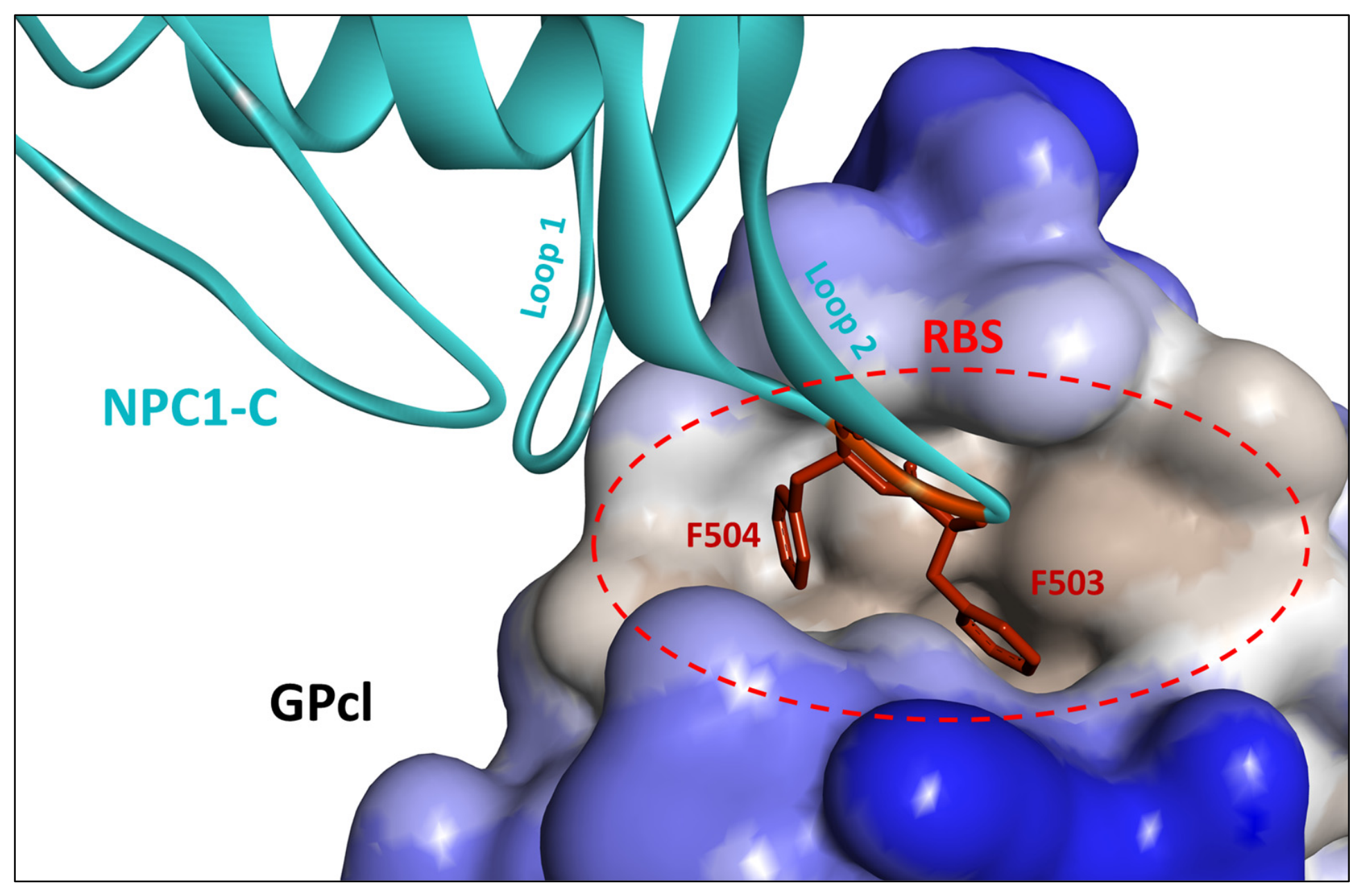 Development of Peptide Entry Inhibitors Targeting the Endosomal ...