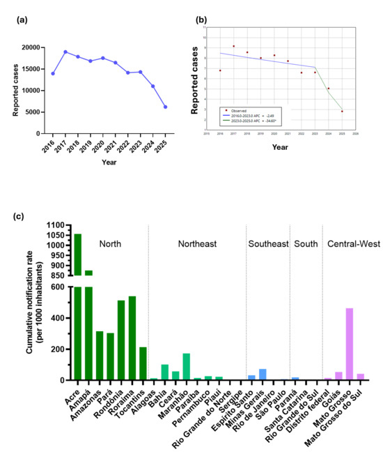 Brazil Racial Categorization Trends 2016-2025