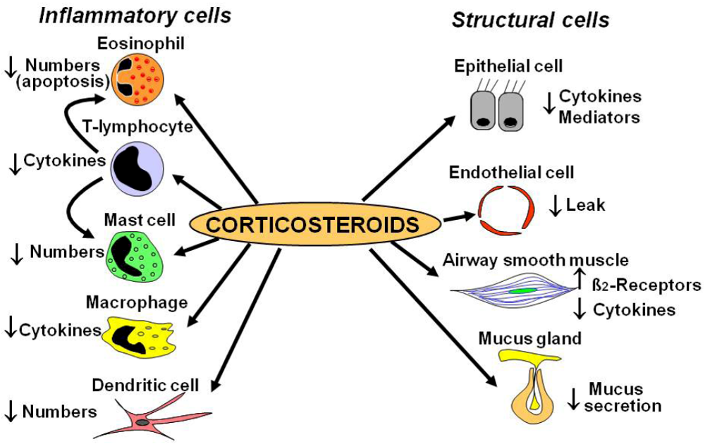 Pharmaceutics, Free Full-Text