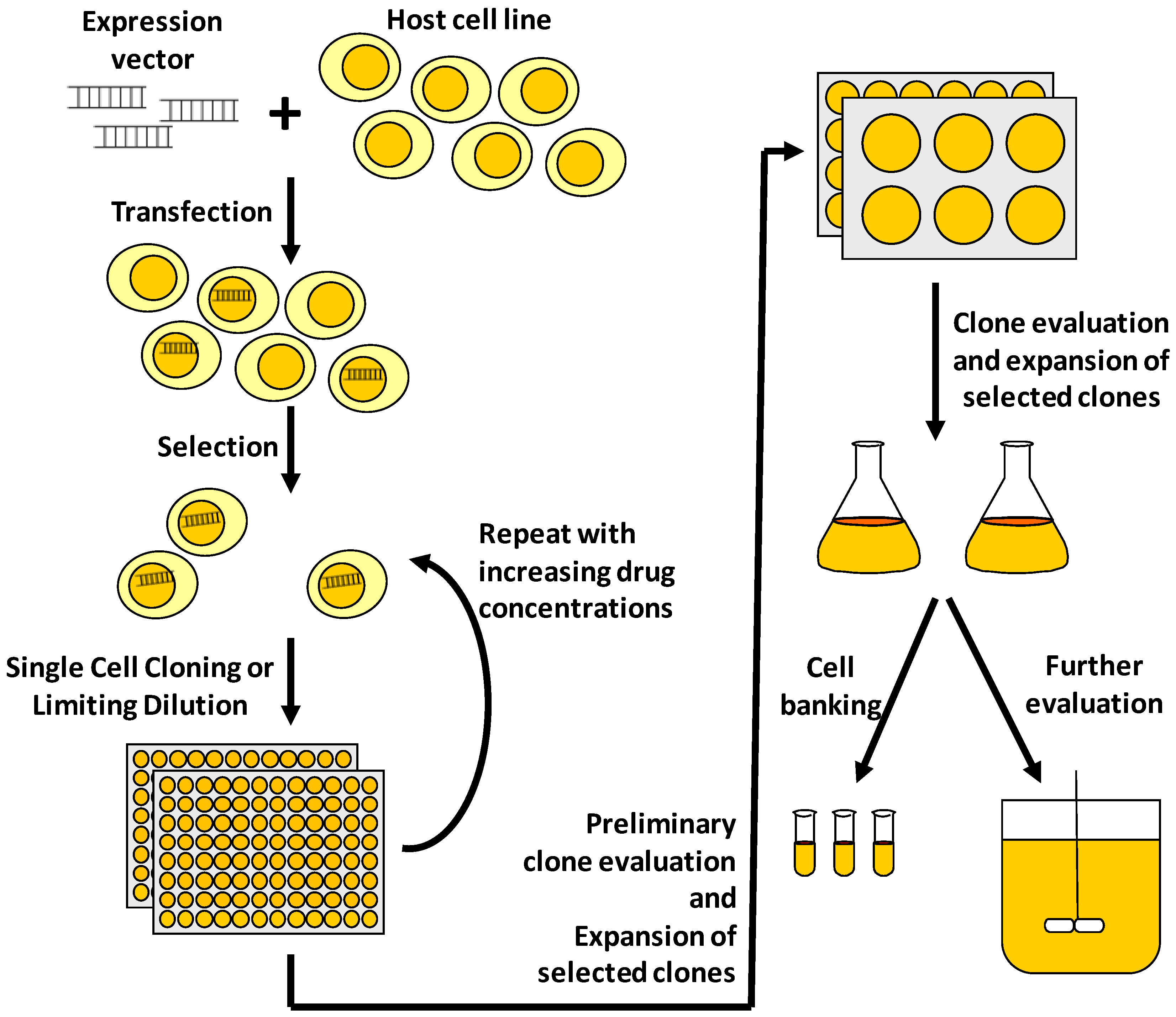 Pharmaceuticals | Free Full-Text | Advances in Mammalian Cell Line  Development Technologies for Recombinant Protein Production