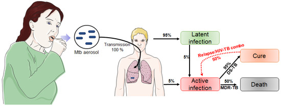 Pharmaceuticals | Free Full-Text | Targeting the Serine Pathway: A ...