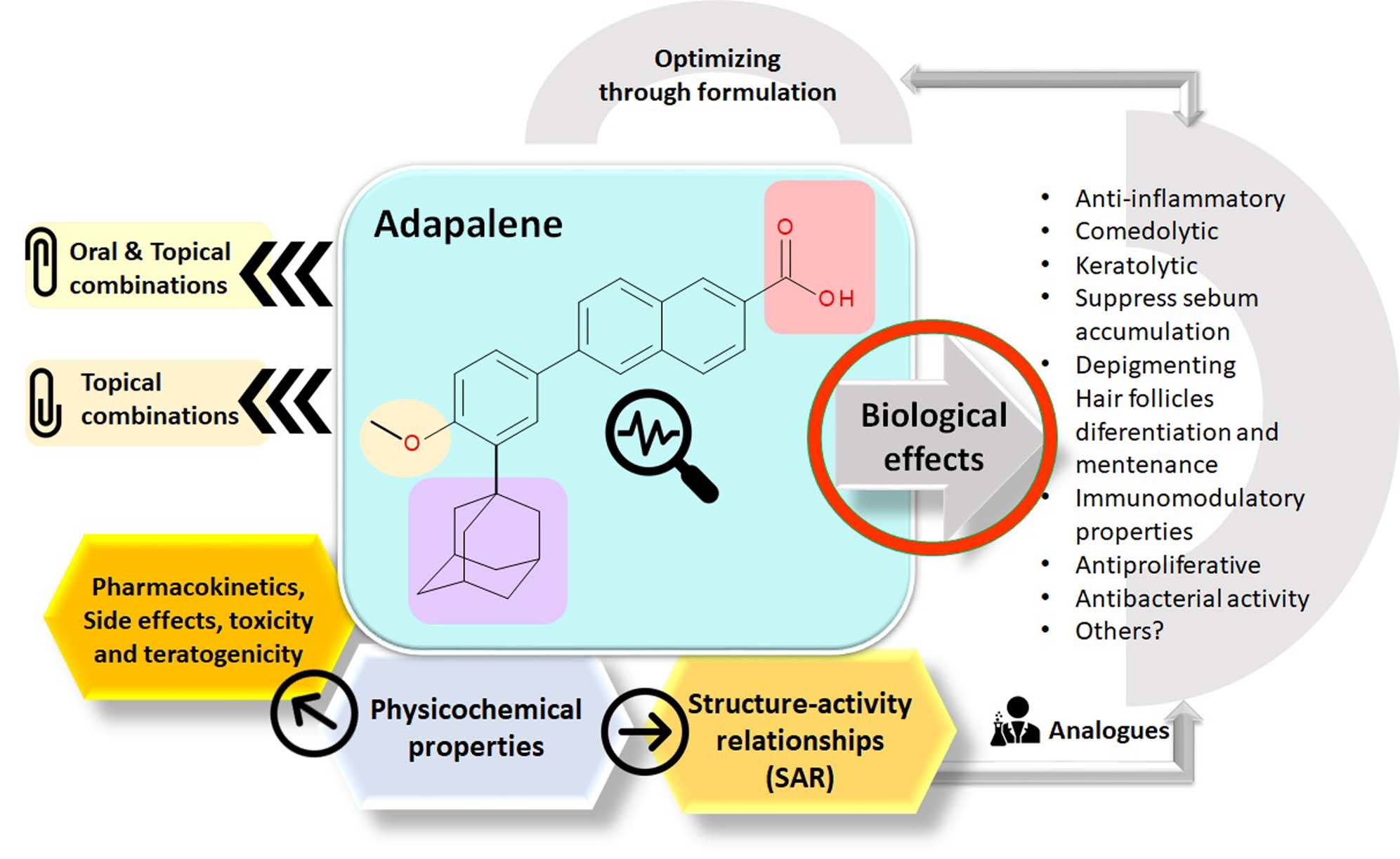 Pharmaceuticals | Free Full-Text | Recent Advances Regarding the  Therapeutic Potential of Adapalene